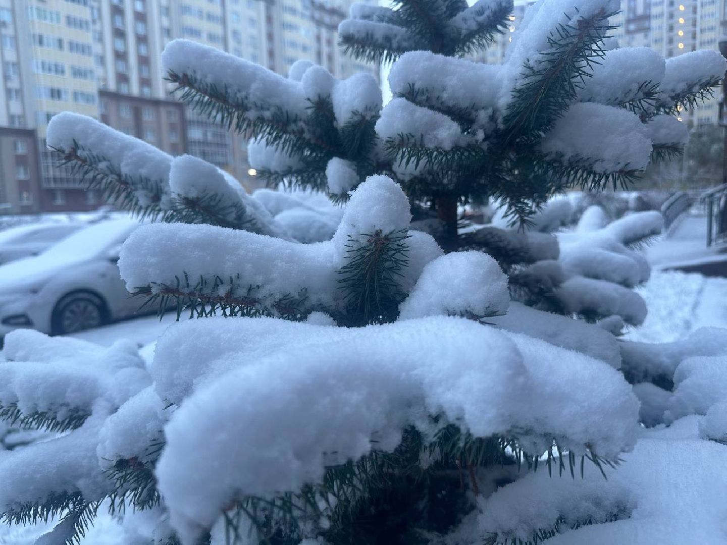 уборка снега, коммунальные службы, вертикалки,