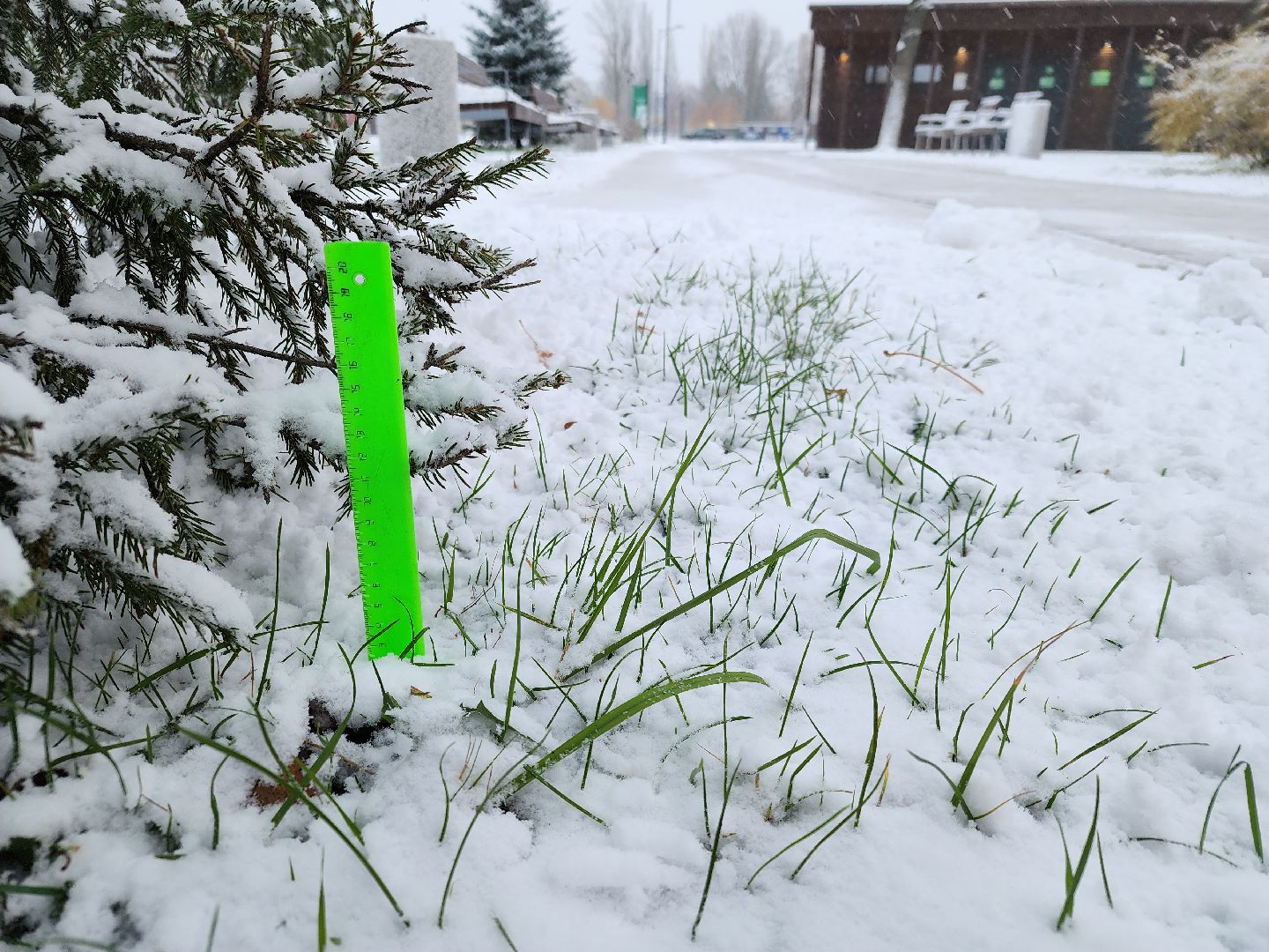 уборка снега, орехово зуево, вертикалки