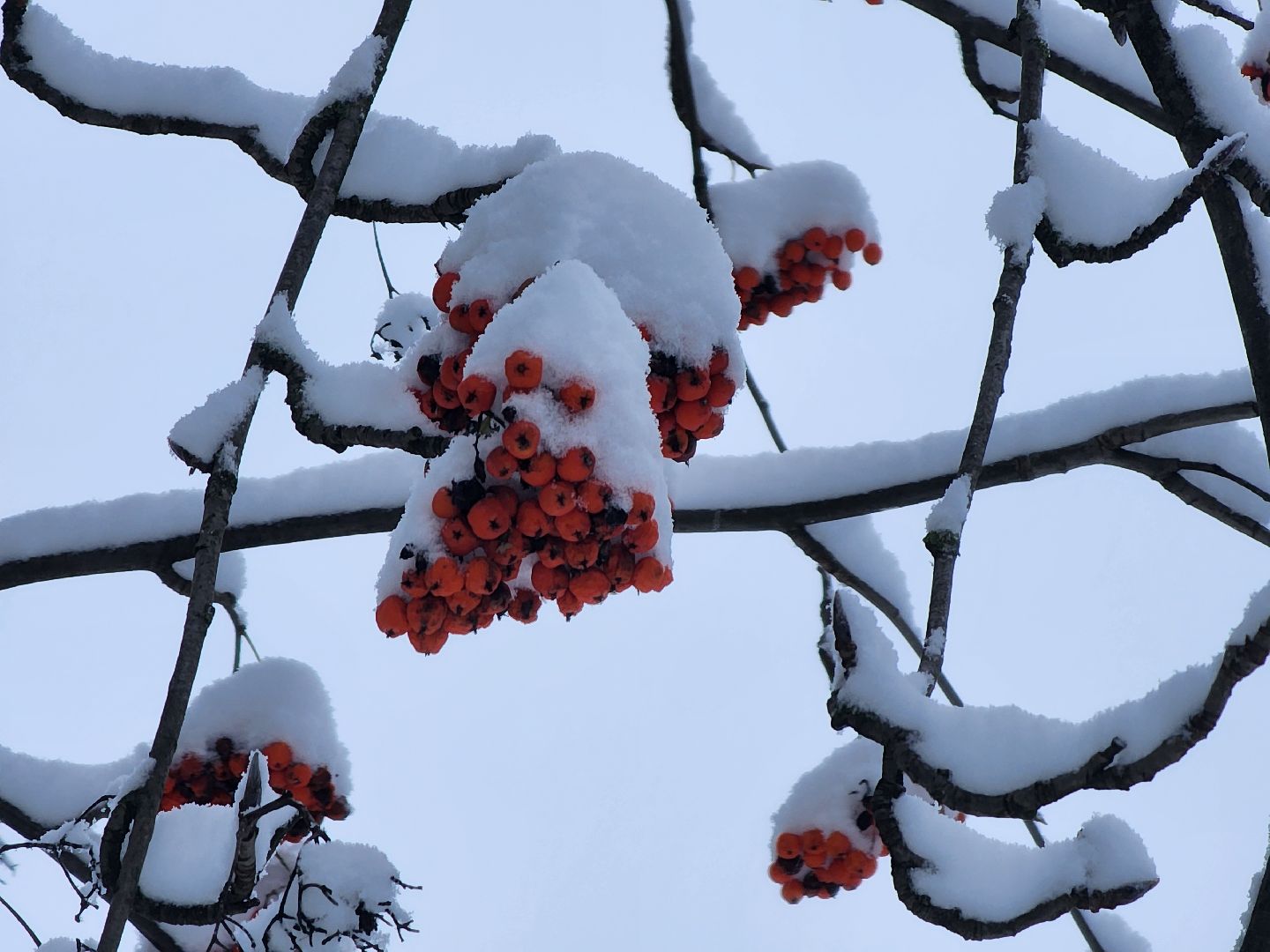 Коломна, снегопад, уборка снега, вертикалка,
