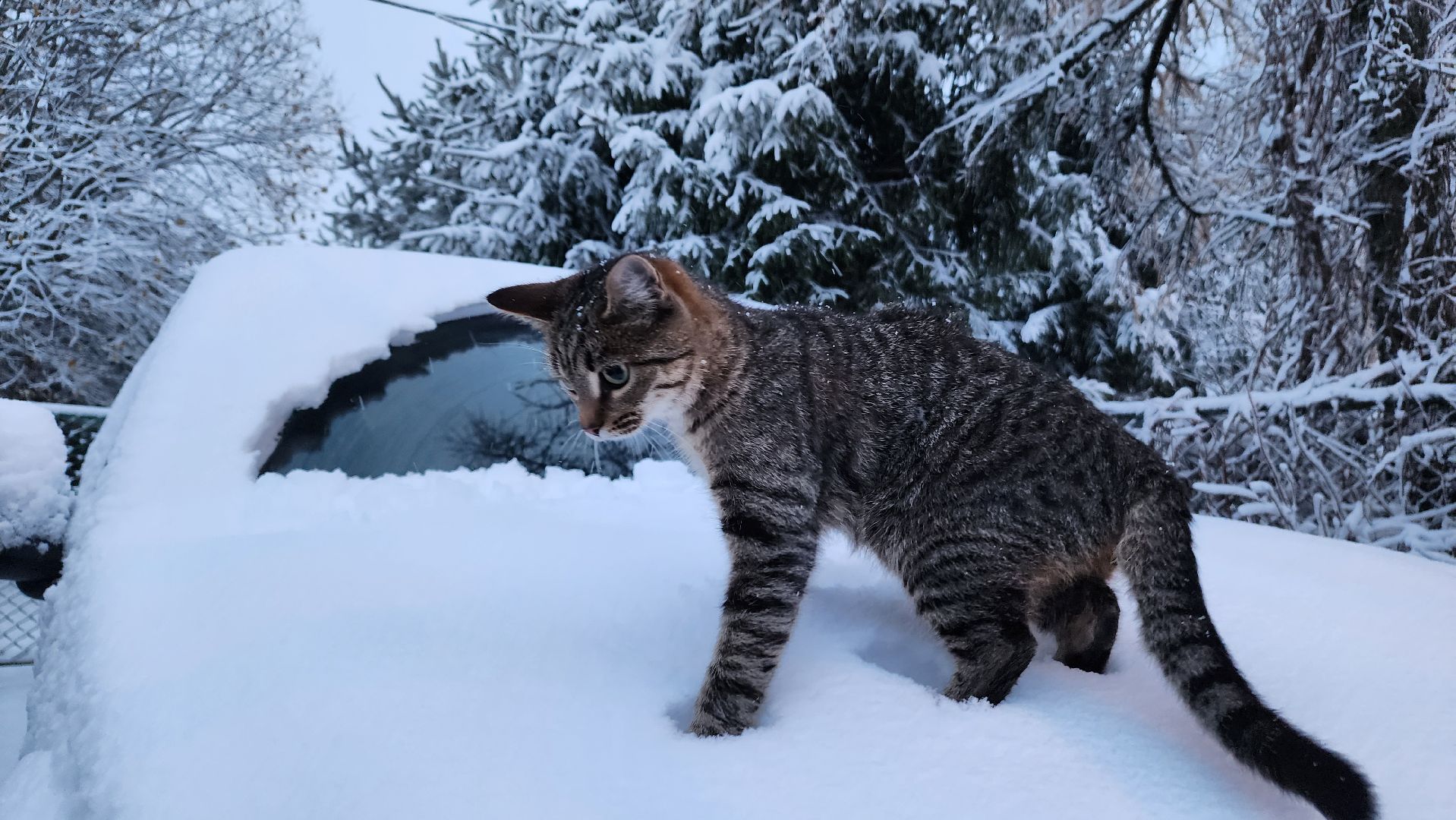 ступино, первый снег, уборка первого снега, вертикалка,