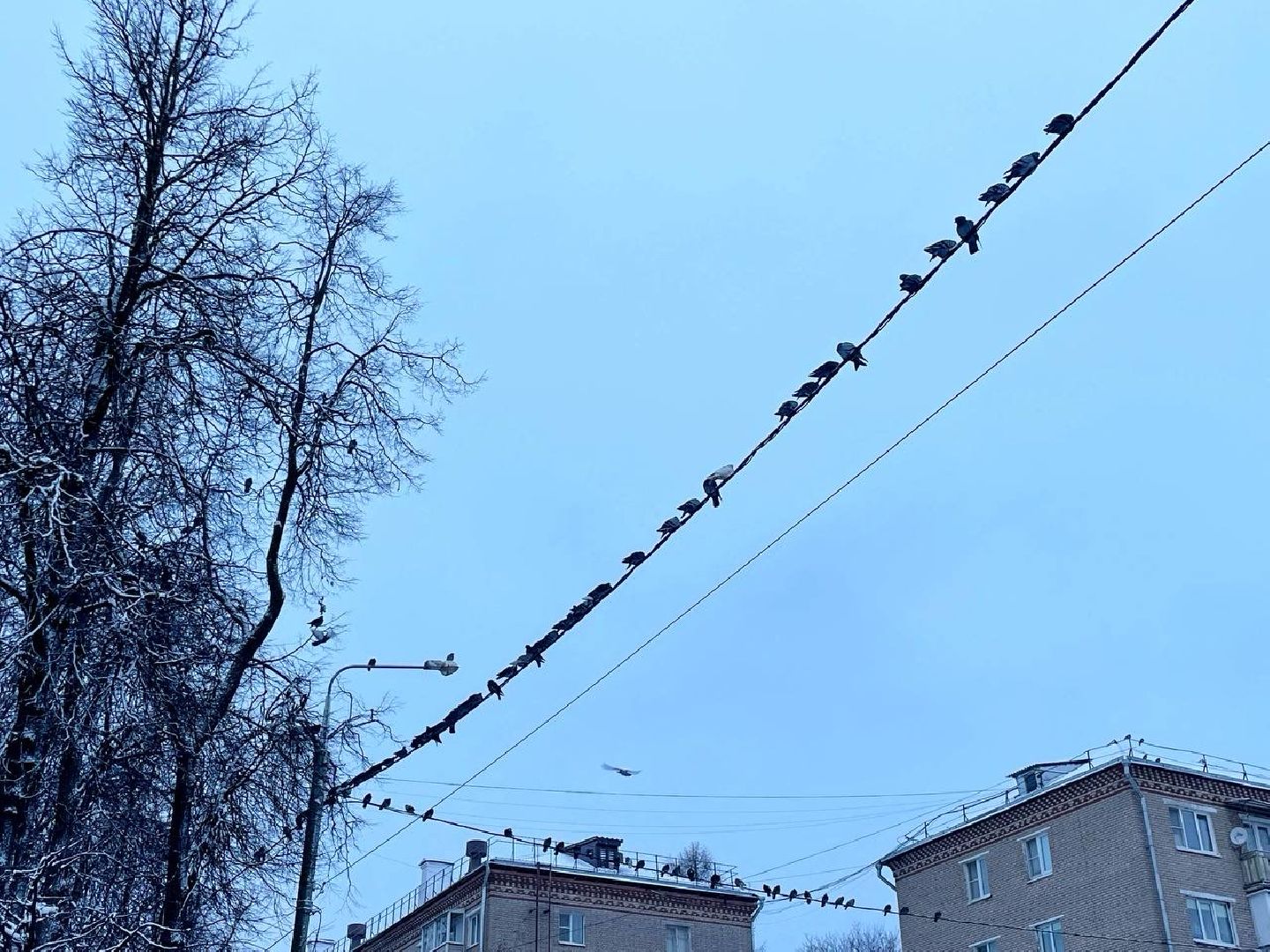 Сергиев Посад, Коммунальные службы, ЖКХ, Сергиево-Посадский городской округ, Уборка снега, вертикалка