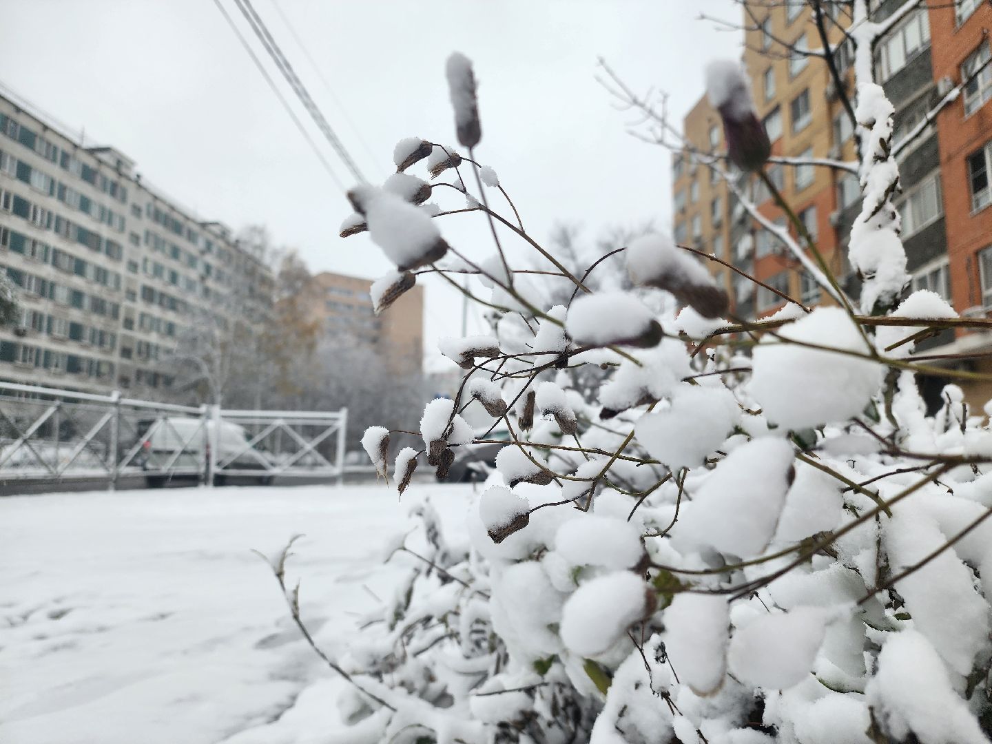 вертикалки, убирают снег,