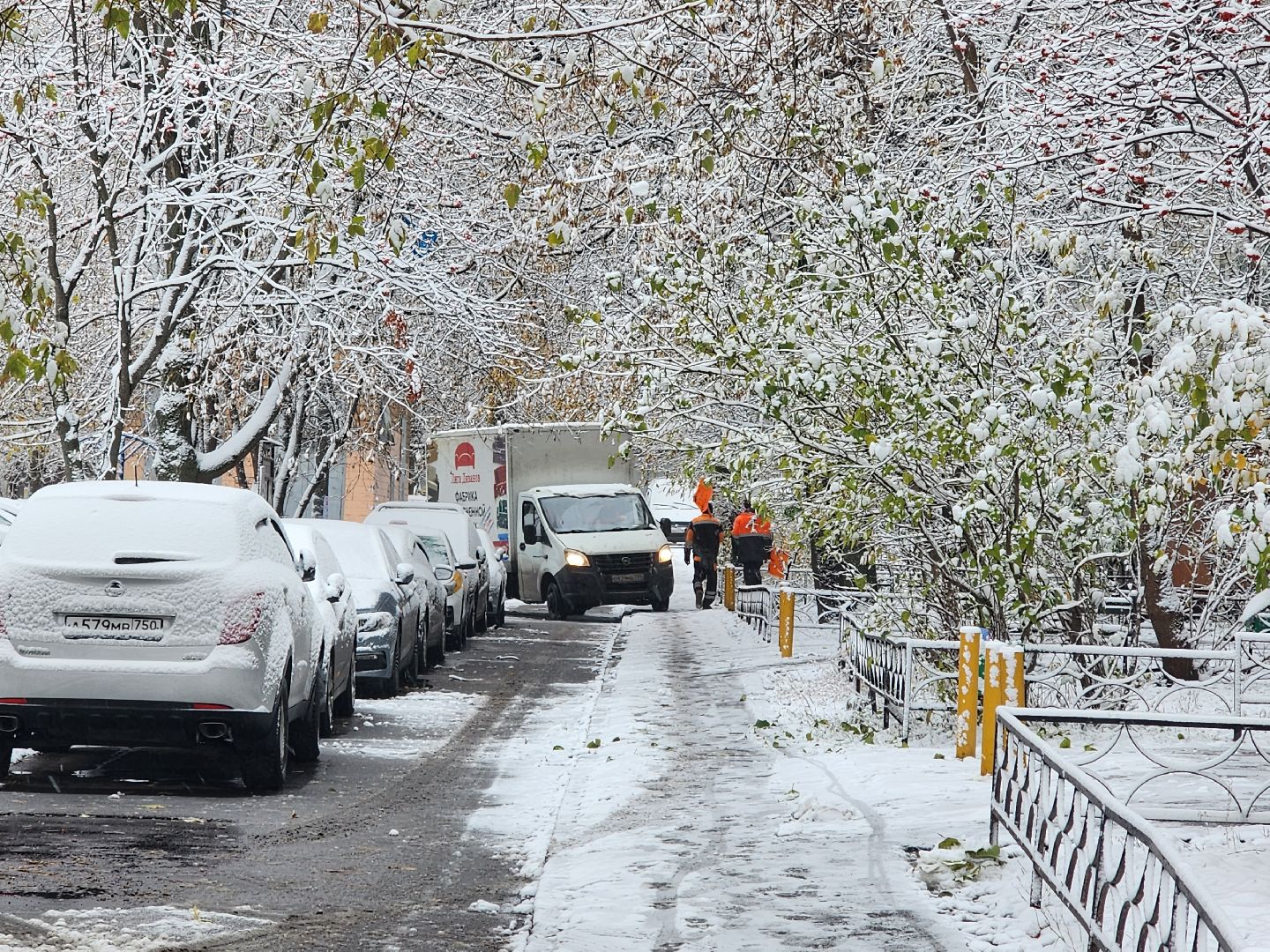 вертикалки, убирают снег,
