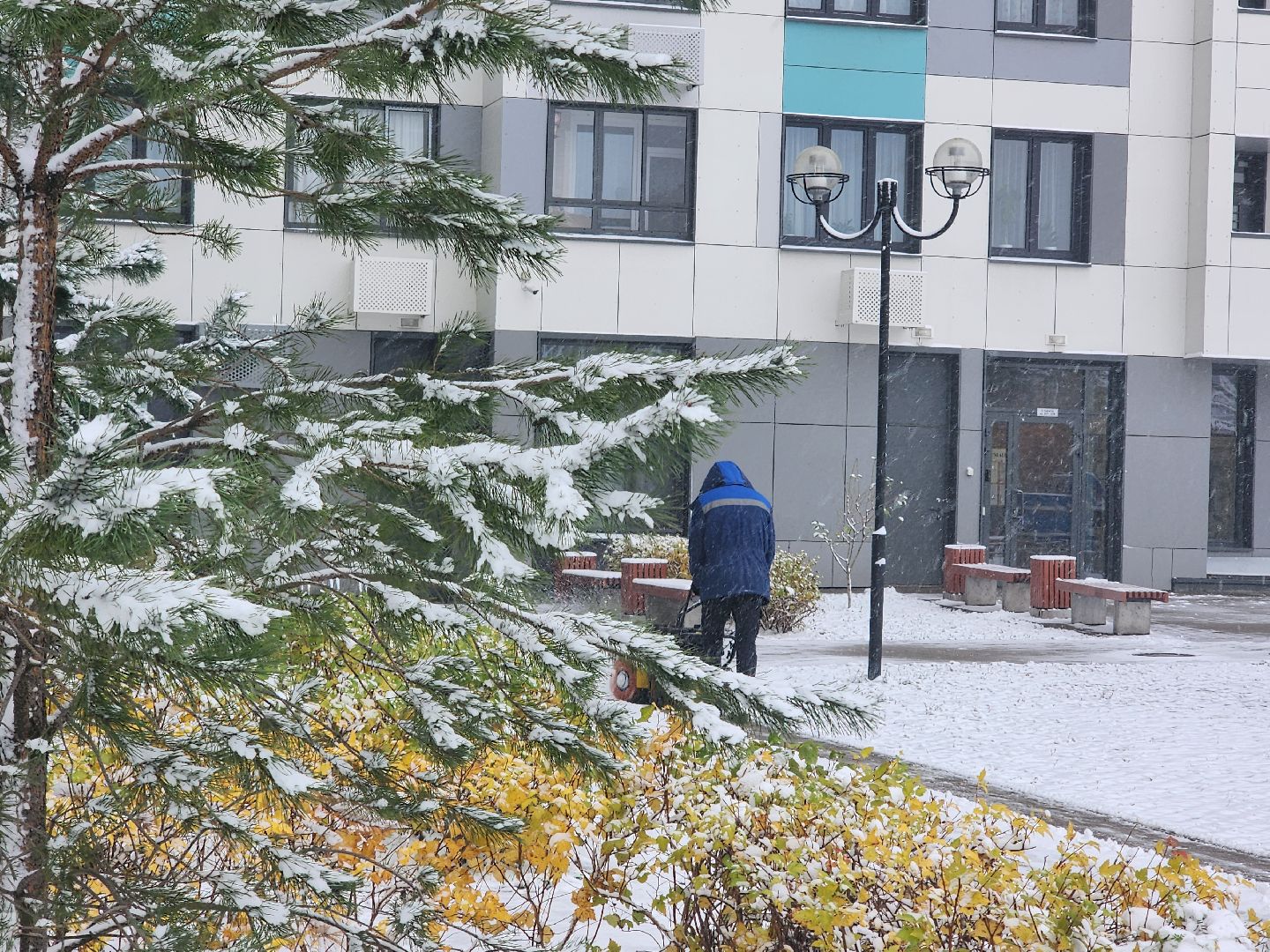 вертикалки, убирают снег,