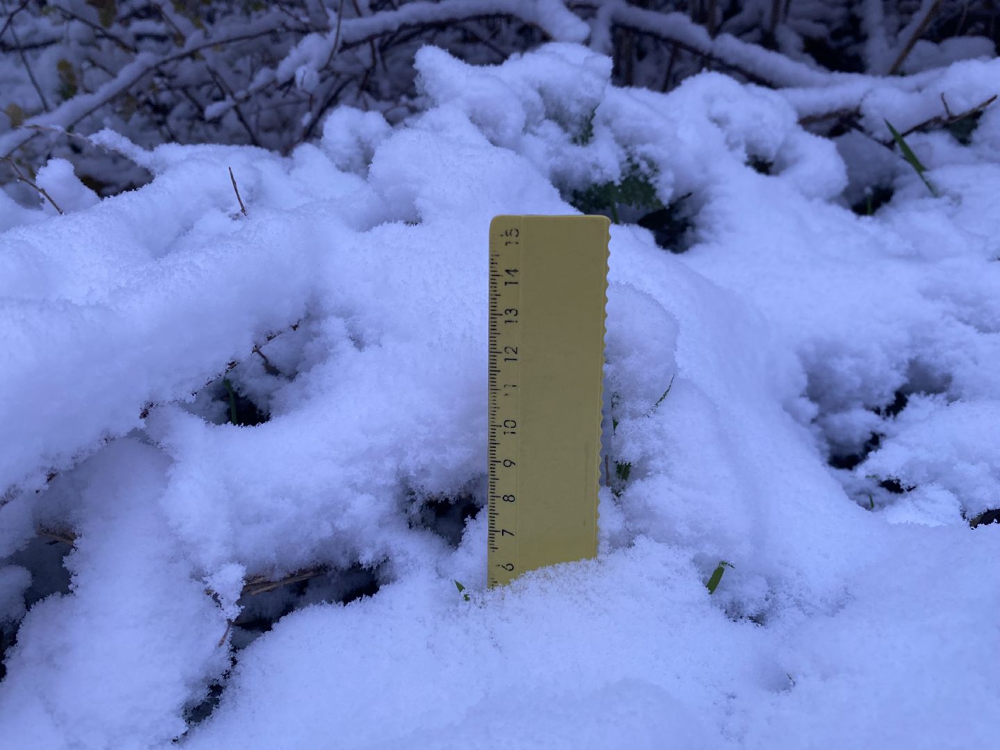 Снег, Уборка, Первый снег,