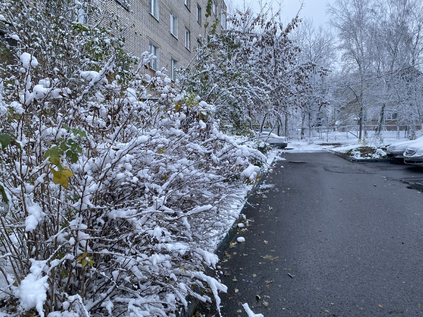 Снег, Уборка, Первый снег,