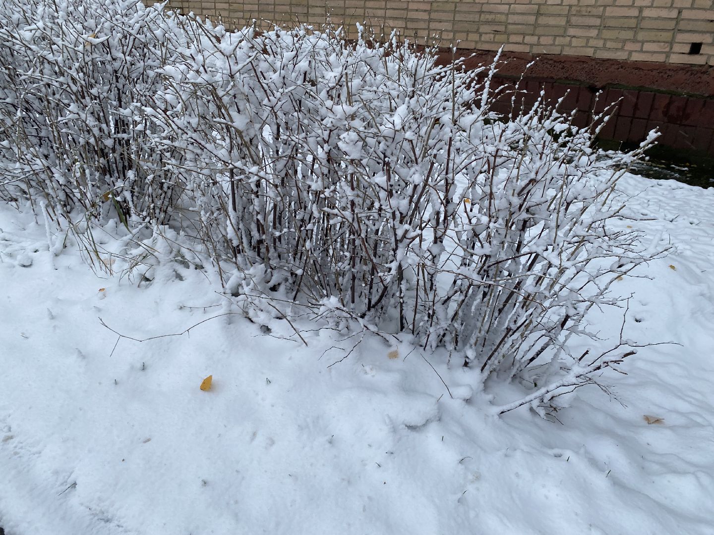 Снег, Уборка, Первый снег,