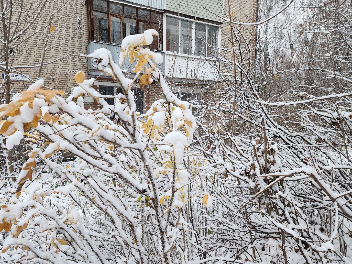 красноармейск, городской округ пушкинский, первый снег, уборка снега, вертикалки