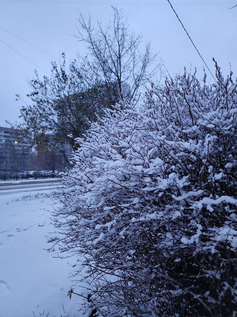 электросталь, первый снег, жкх, уборка снега, коммунальщики, коммунальные службы, коммунальные службы готовы к зиме, снегоуборочная техника, снегоуборочные машины, вертикалки