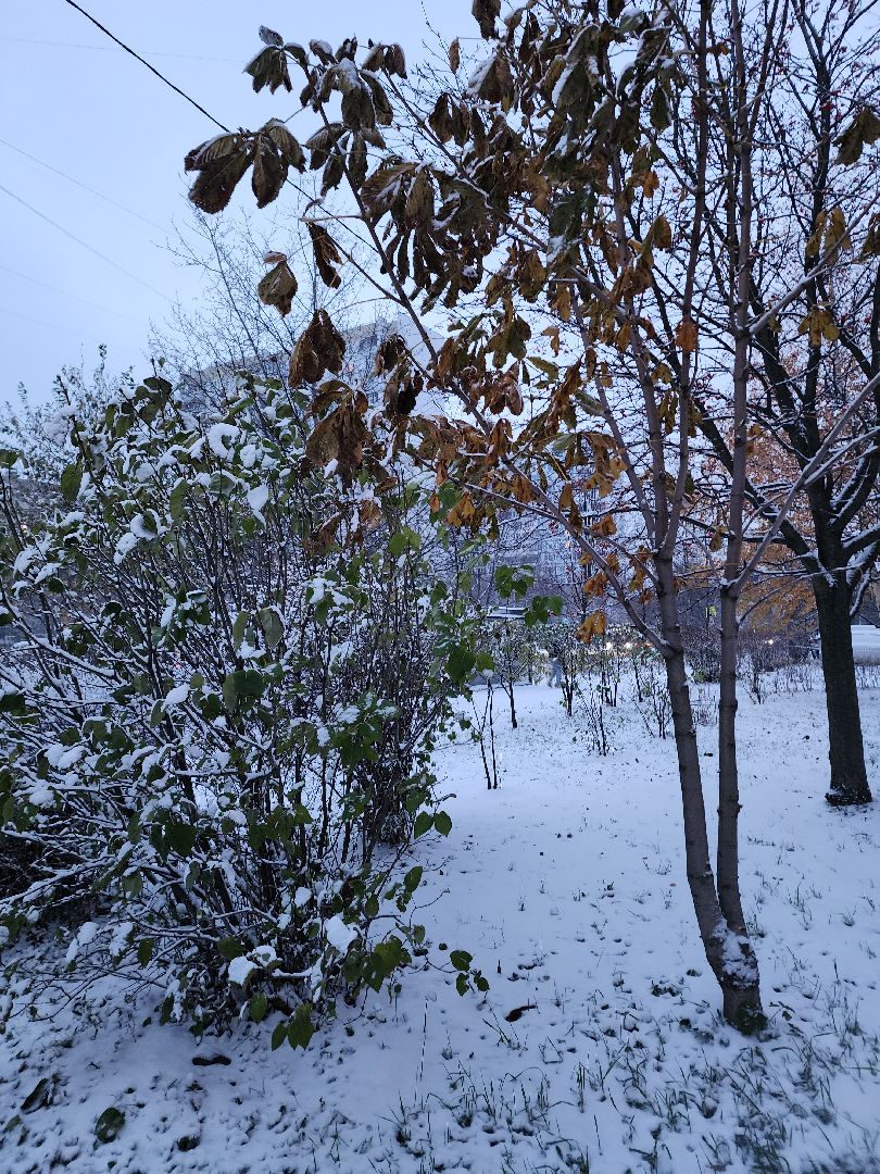 электросталь, первый снег, жкх, уборка снега, коммунальщики, коммунальные службы, коммунальные службы готовы к зиме, снегоуборочная техника, снегоуборочные машины, вертикалки