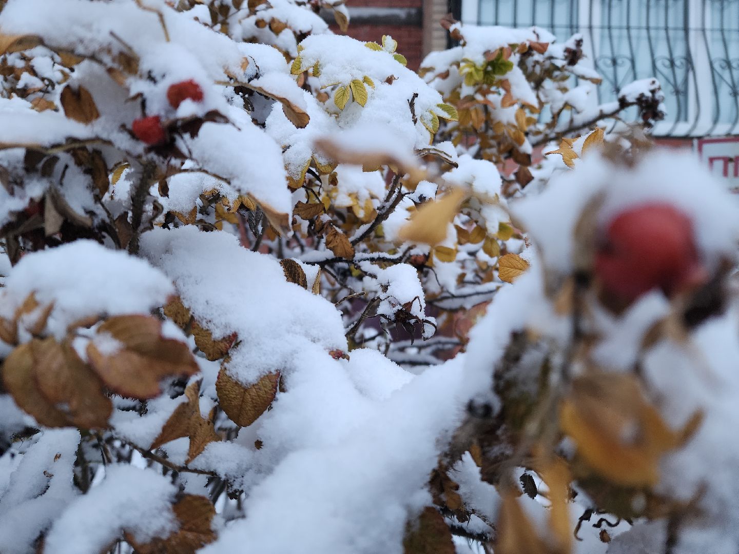 электросталь, первый снег, жкх, уборка снега, коммунальщики, коммунальные службы, коммунальные службы готовы к зиме, снегоуборочная техника, снегоуборочные машины, вертикалки
