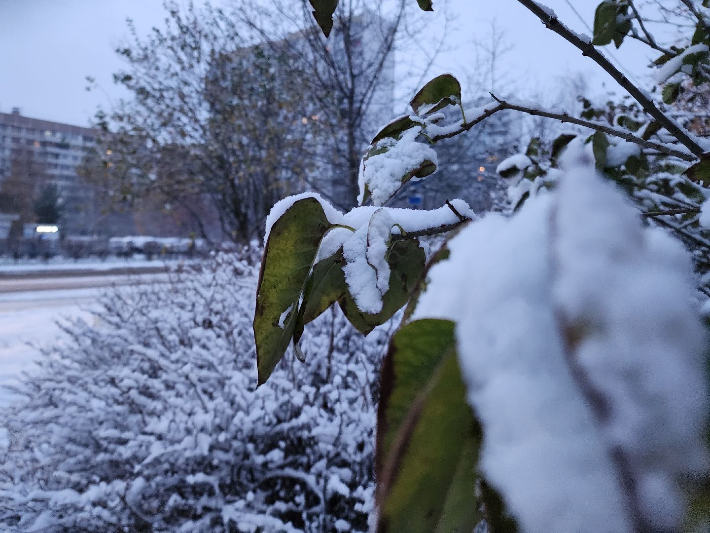 электросталь, первый снег, жкх, уборка снега, коммунальщики, коммунальные службы, коммунальные службы готовы к зиме, снегоуборочная техника, снегоуборочные машины, вертикалки