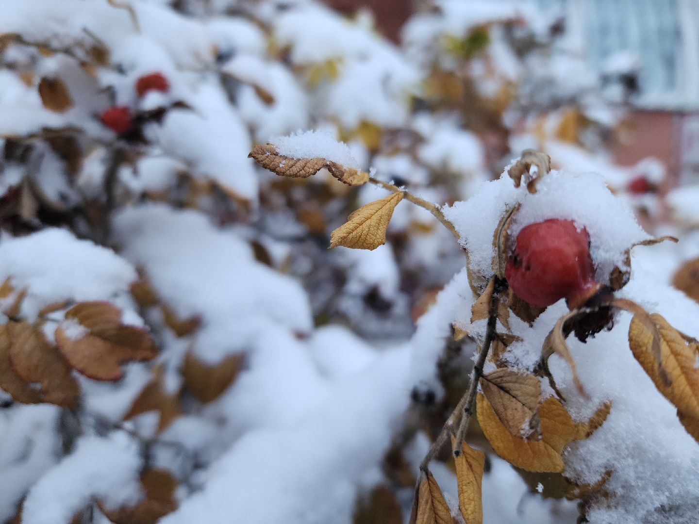 электросталь, первый снег, жкх, уборка снега, коммунальщики, коммунальные службы, коммунальные службы готовы к зиме, снегоуборочная техника, снегоуборочные машины, вертикалки