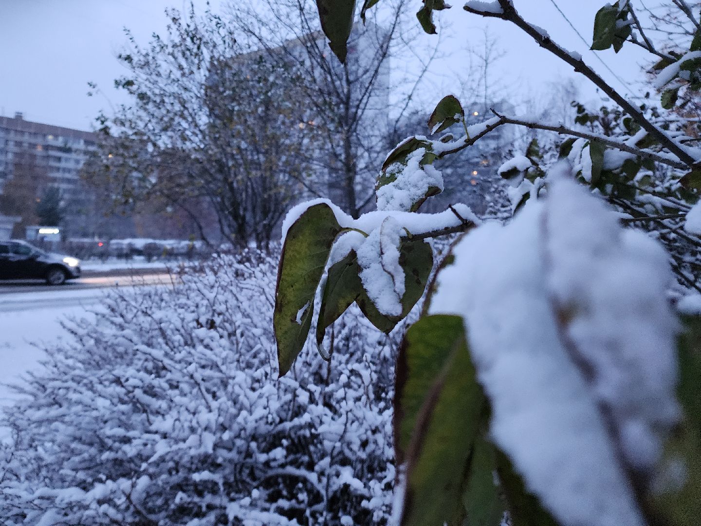 электросталь, первый снег, жкх, уборка снега, коммунальщики, коммунальные службы, коммунальные службы готовы к зиме, снегоуборочная техника, снегоуборочные машины, вертикалки