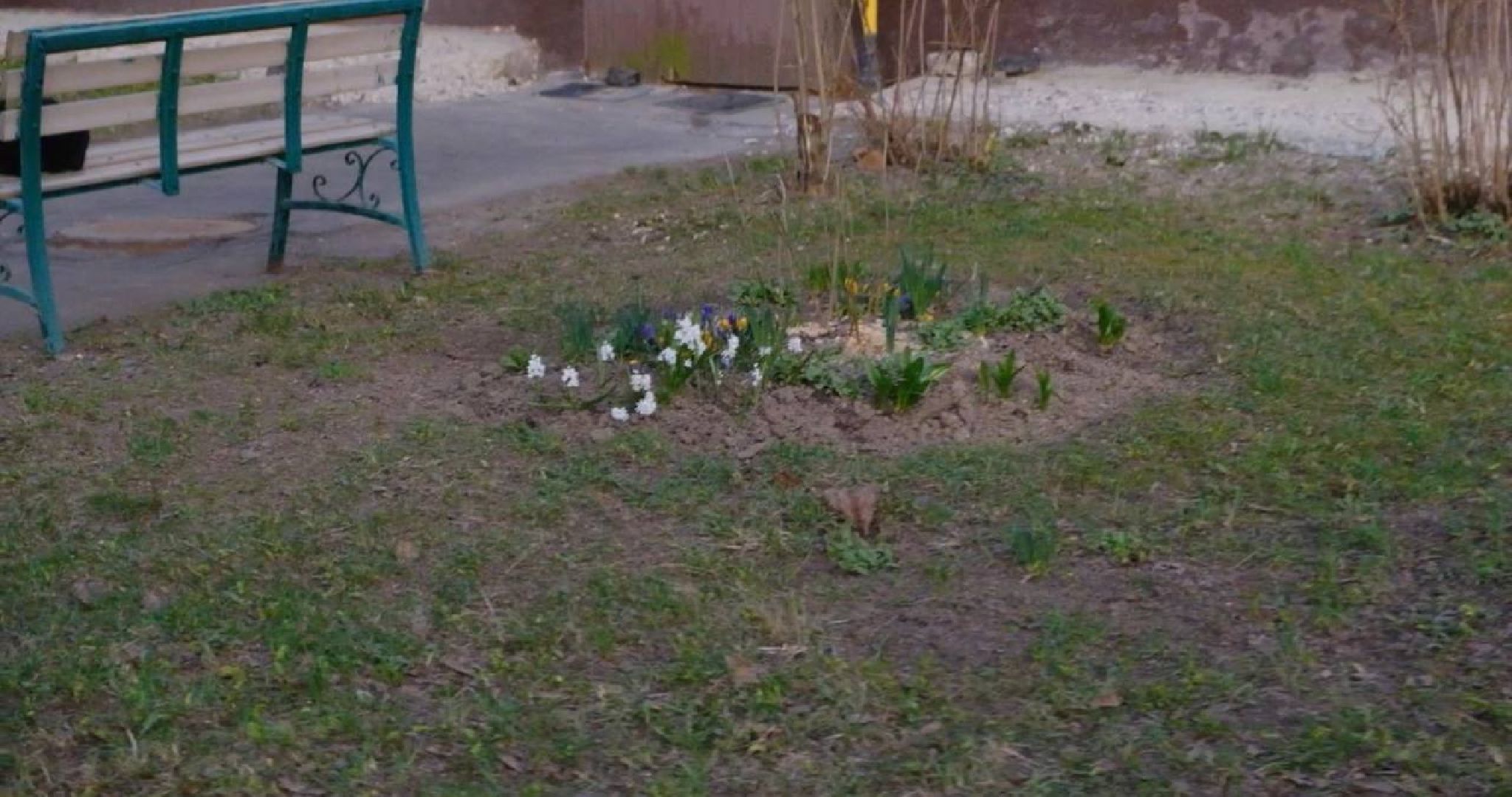 Солнечногорск, благоустройство, дворы, детские площадки, глава округа