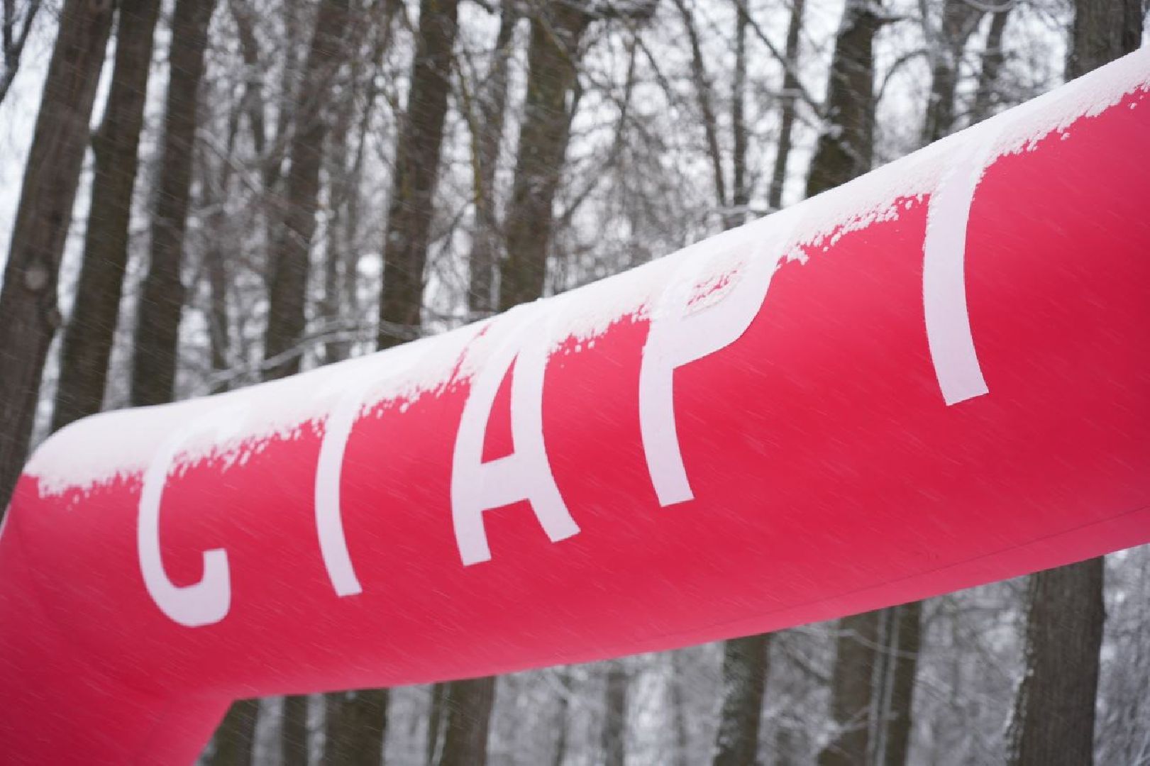 Спорт, Парки Подмосковья, Парки МО, Скитские пруды, ГТО, Сергиев Посад, Сергиево-Посадский городской округ, День народного единства, Год семьи, Праздник, вертикалка,