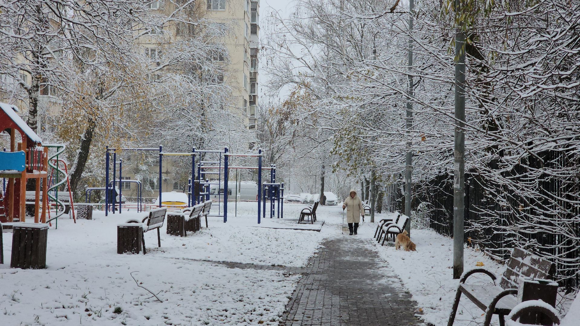 красногорск, снегопад, вертикалка, вертикальное видео, коммунальщики,ЖКХ, снегопад