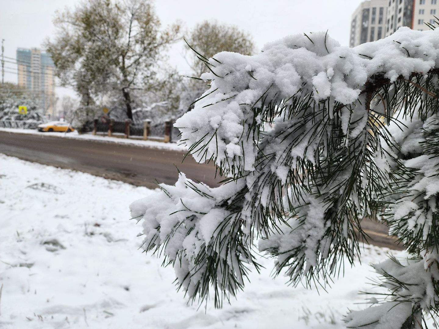 красногорск, снегопад, вертикалка, вертикальное видео, коммунальщики,ЖКХ, снегопад