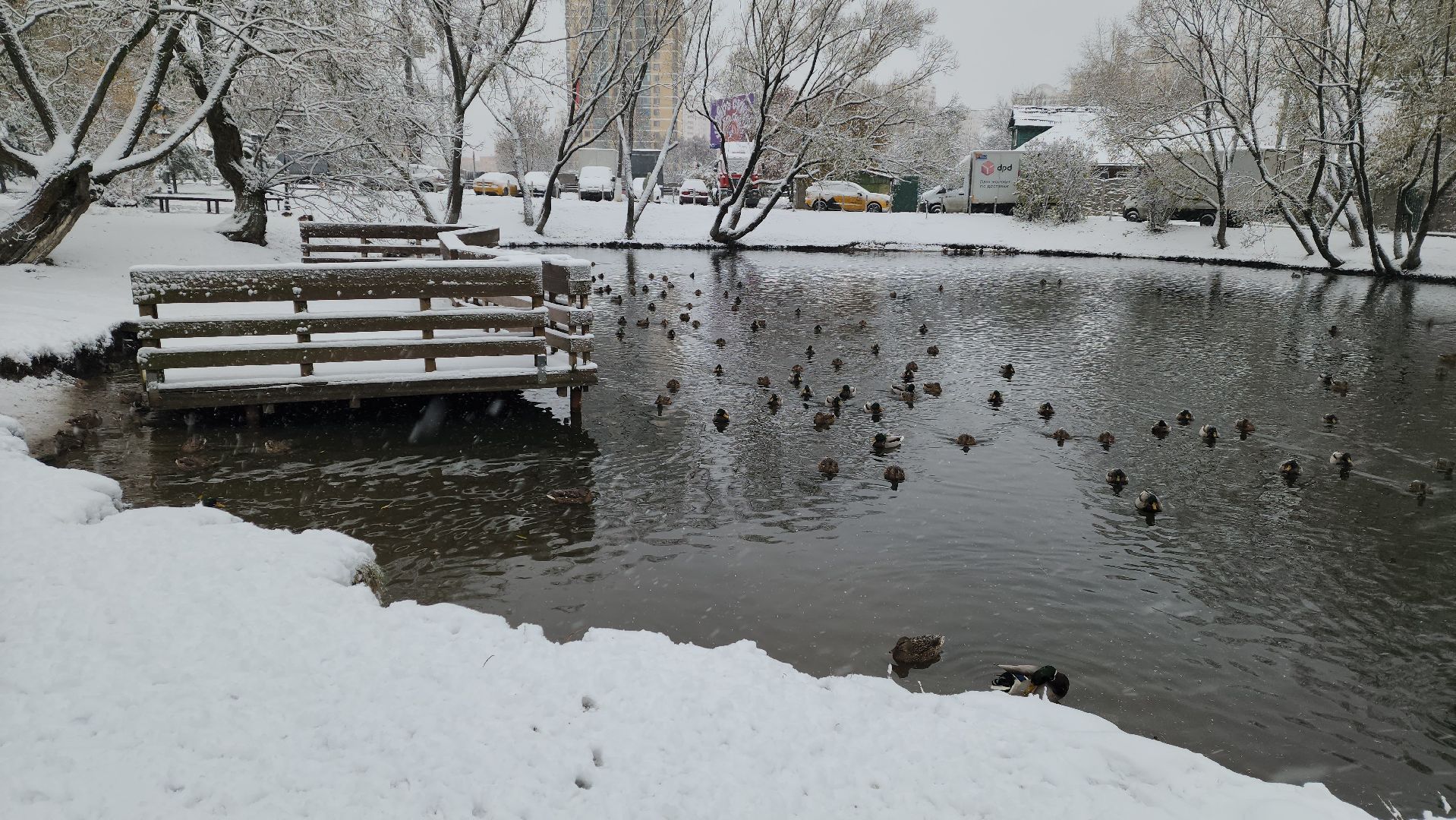 красногорск, снегопад, вертикалка, вертикальное видео, коммунальщики,ЖКХ, снегопад