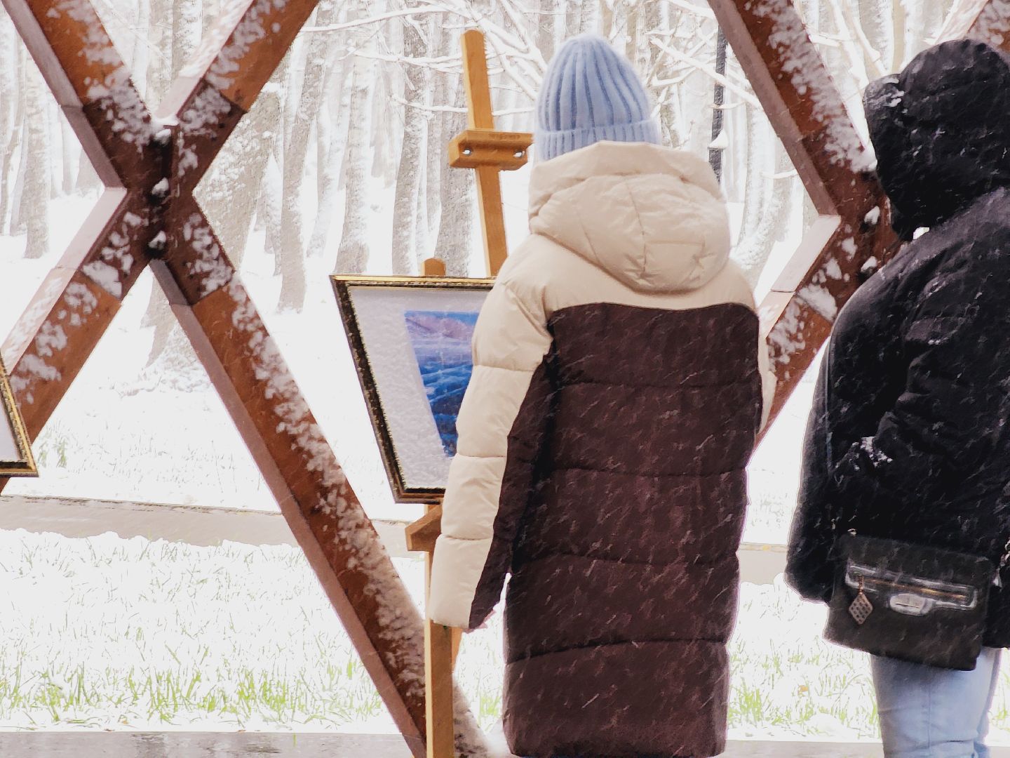 Егорьевск, Подмосковье, Московская область, день народного единства, 4 ноября, парк 200 лет егорьевску,вертикалка, вертикальное видео,