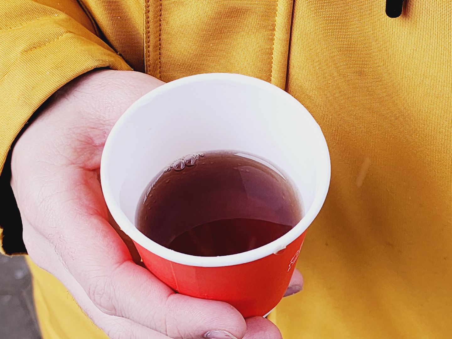 Егорьевск, Подмосковье, Московская область, день народного единства, 4 ноября, парк 200 лет егорьевску,вертикалка, вертикальное видео,