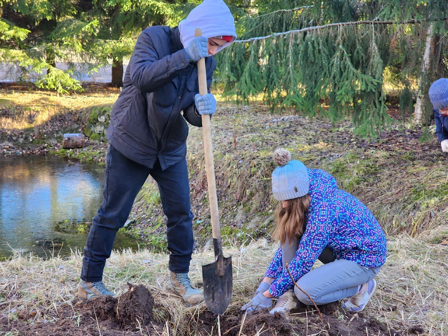 Дубна, Благоустройство, Субботник, Депутат, Школьники, Студенты, вертикалка,