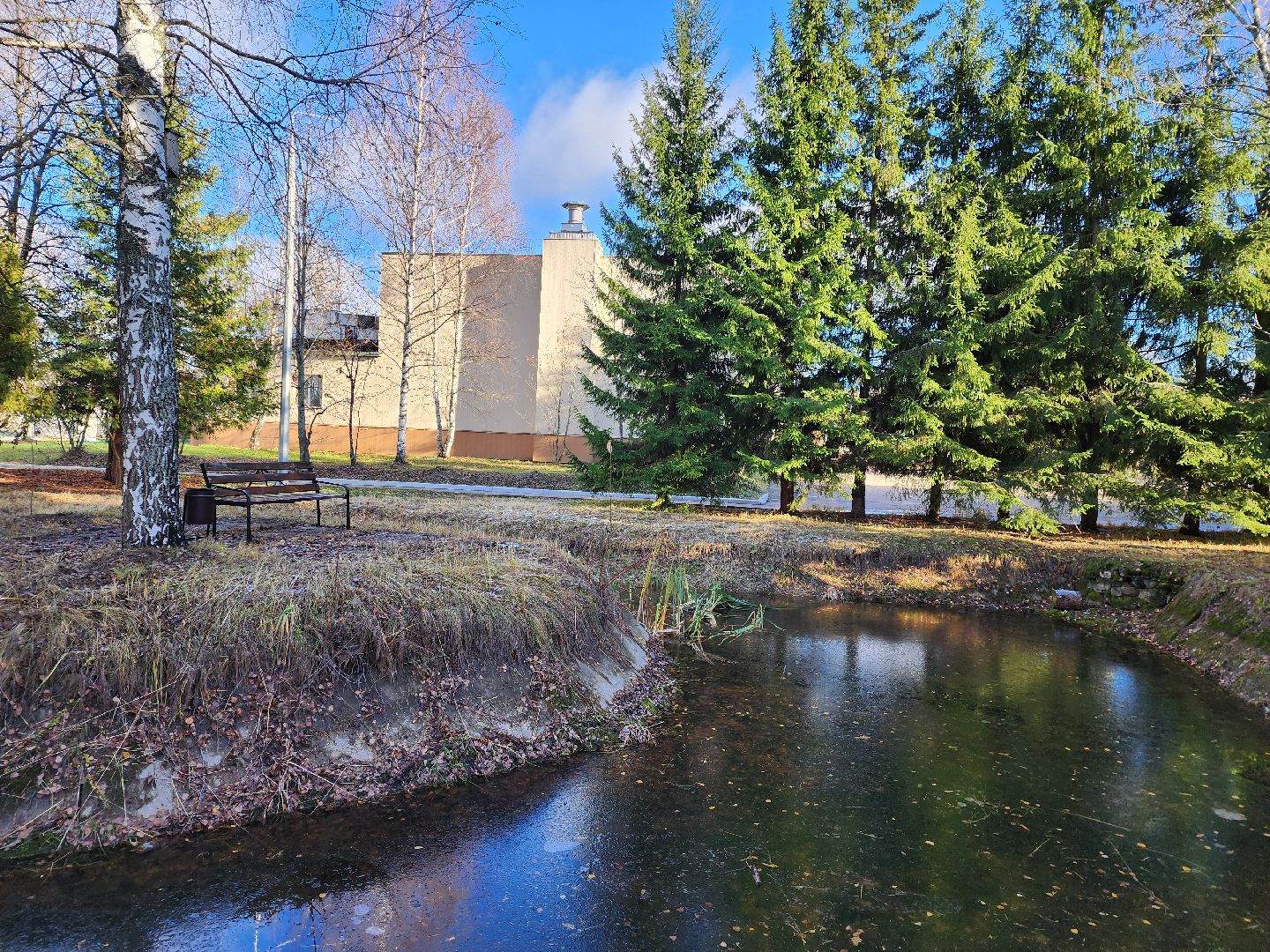 Дубна, Благоустройство, Субботник, Депутат, Школьники, Студенты, вертикалка,