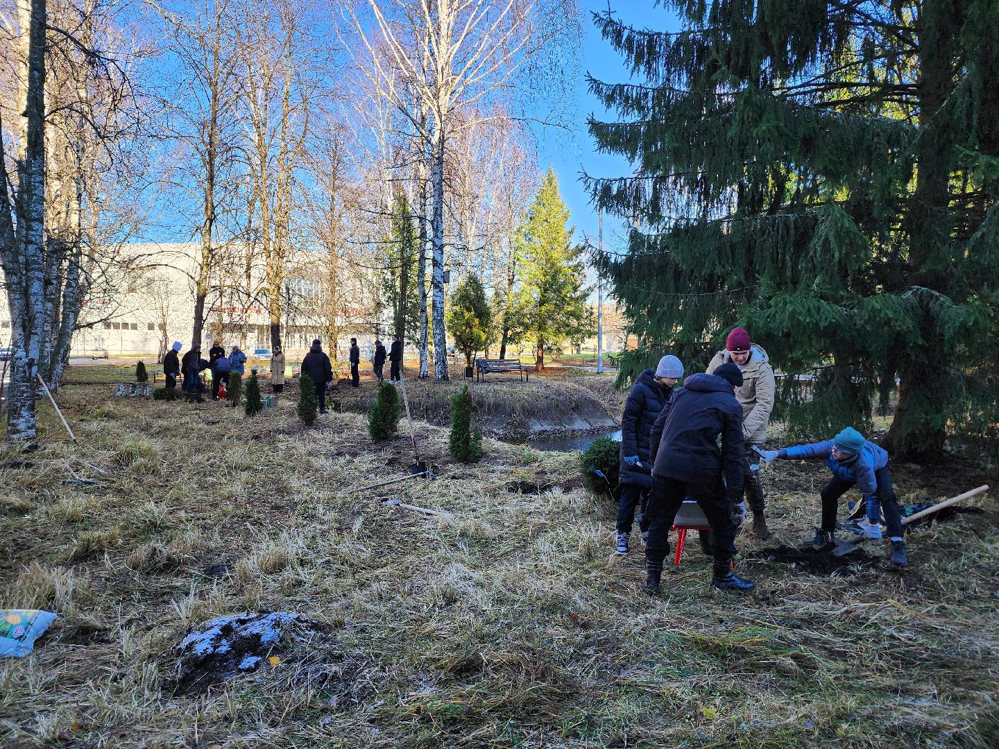 Дубна, Благоустройство, Субботник, Депутат, Школьники, Студенты, вертикалка,