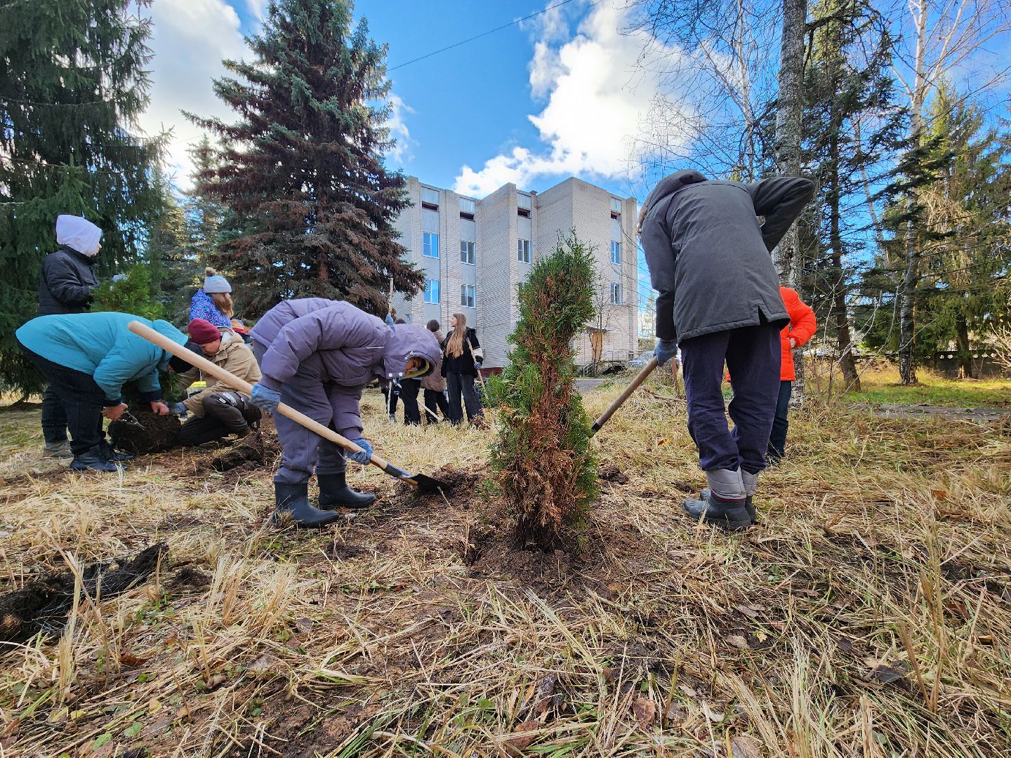 Дубна, Благоустройство, Субботник, Депутат, Школьники, Студенты, вертикалка,