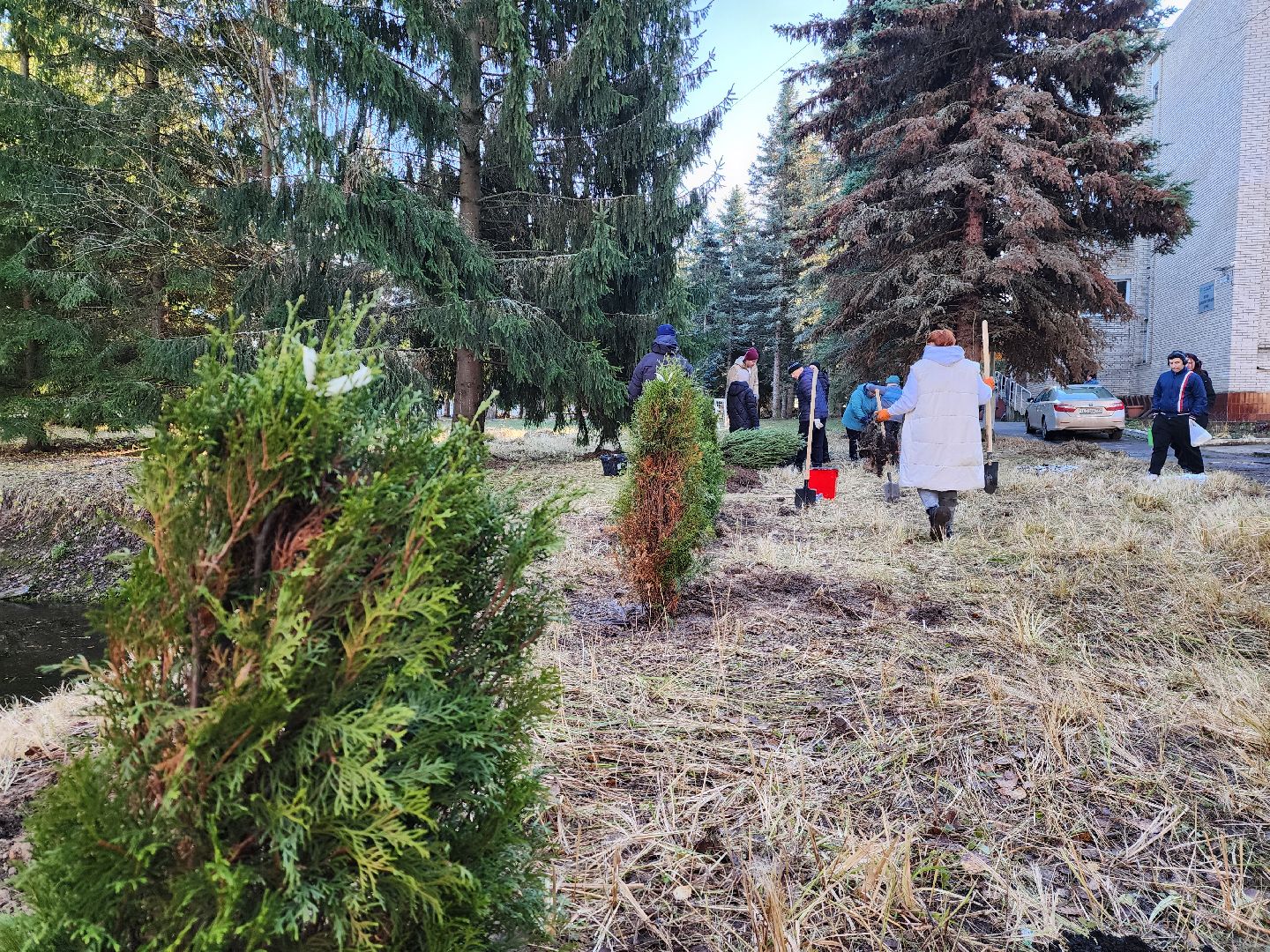 Дубна, Благоустройство, Субботник, Депутат, Школьники, Студенты, вертикалка,