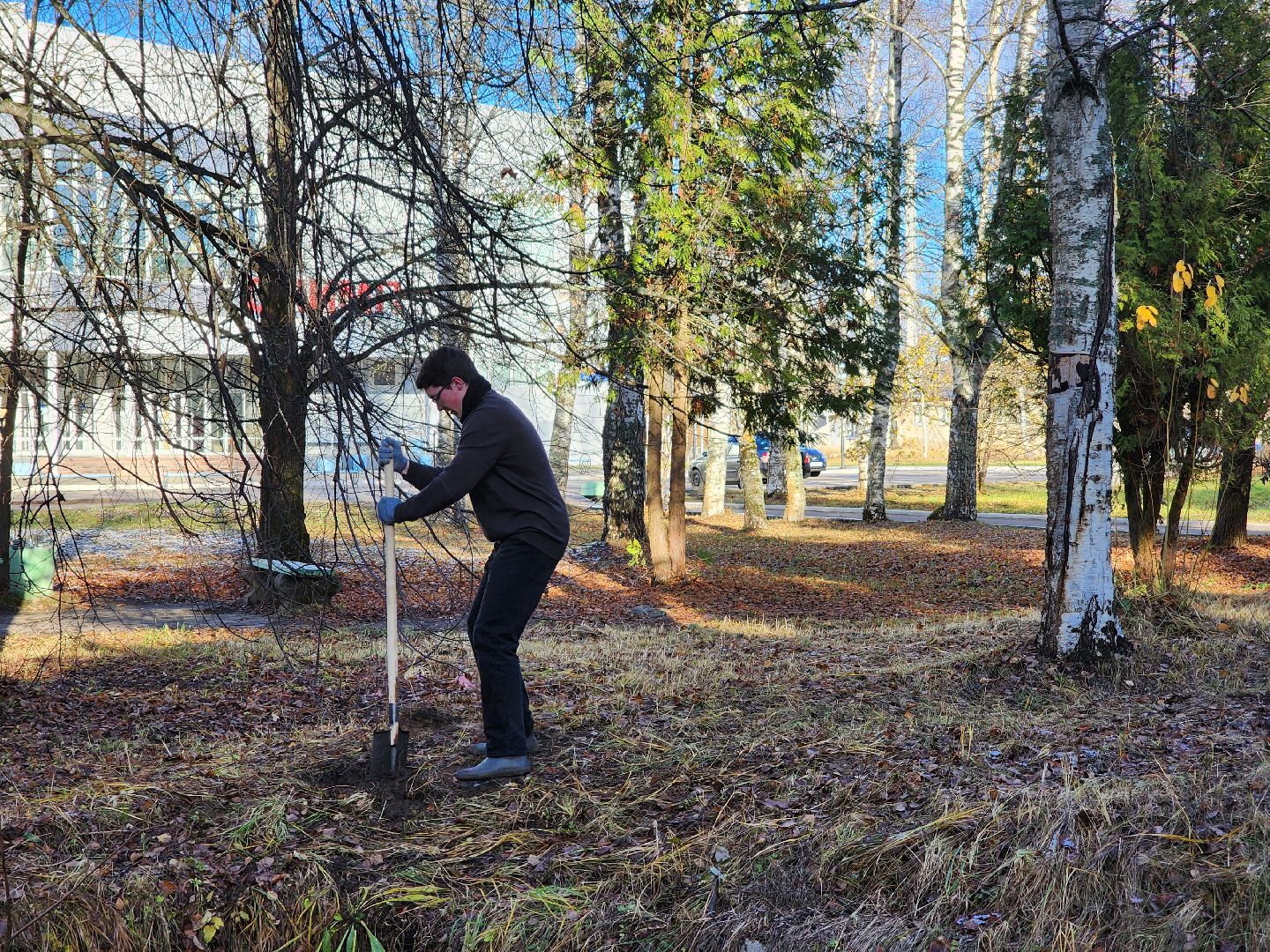 Дубна, Благоустройство, Субботник, Депутат, Школьники, Студенты, вертикалка,