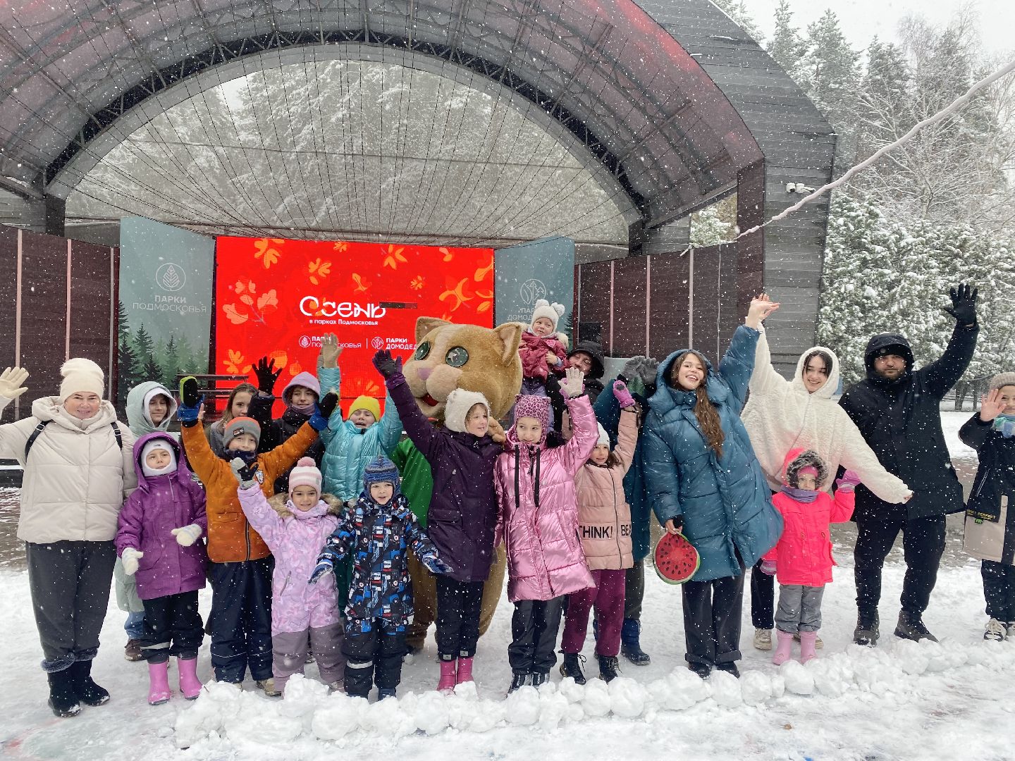Домодедово, день народно единства, Парк Елочки, Подмосковье, День единсва, Мы вместе, Россия,