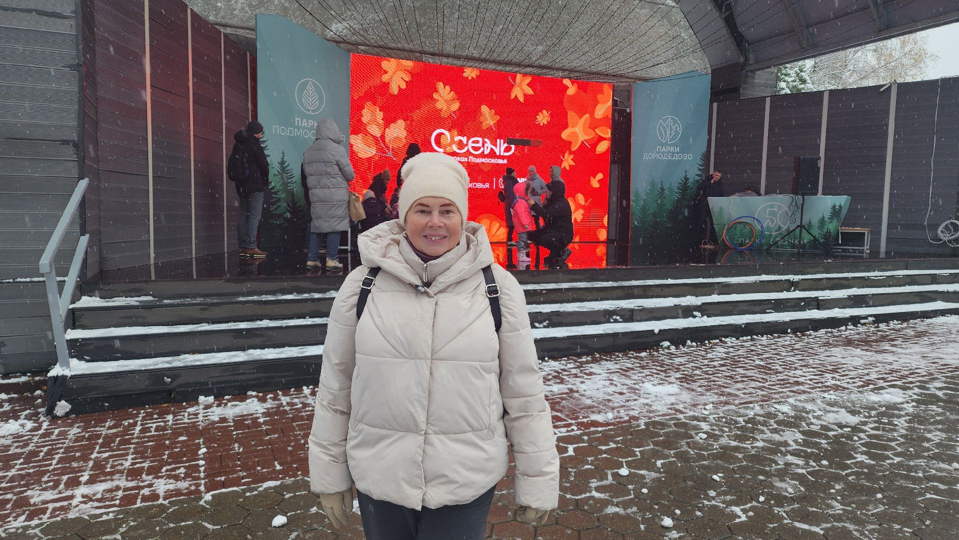 Домодедово, день народно единства, Парк Елочки, Подмосковье, День единсва, Мы вместе, Россия,