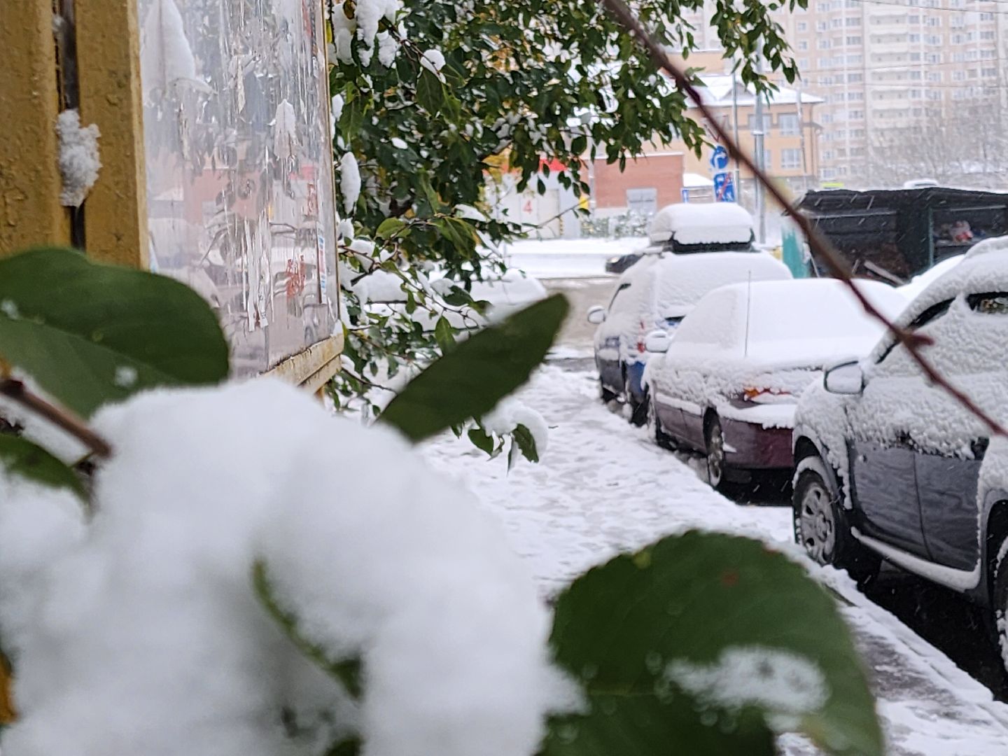 Подольск, уборка снега, коммунальщики, вертикалка,