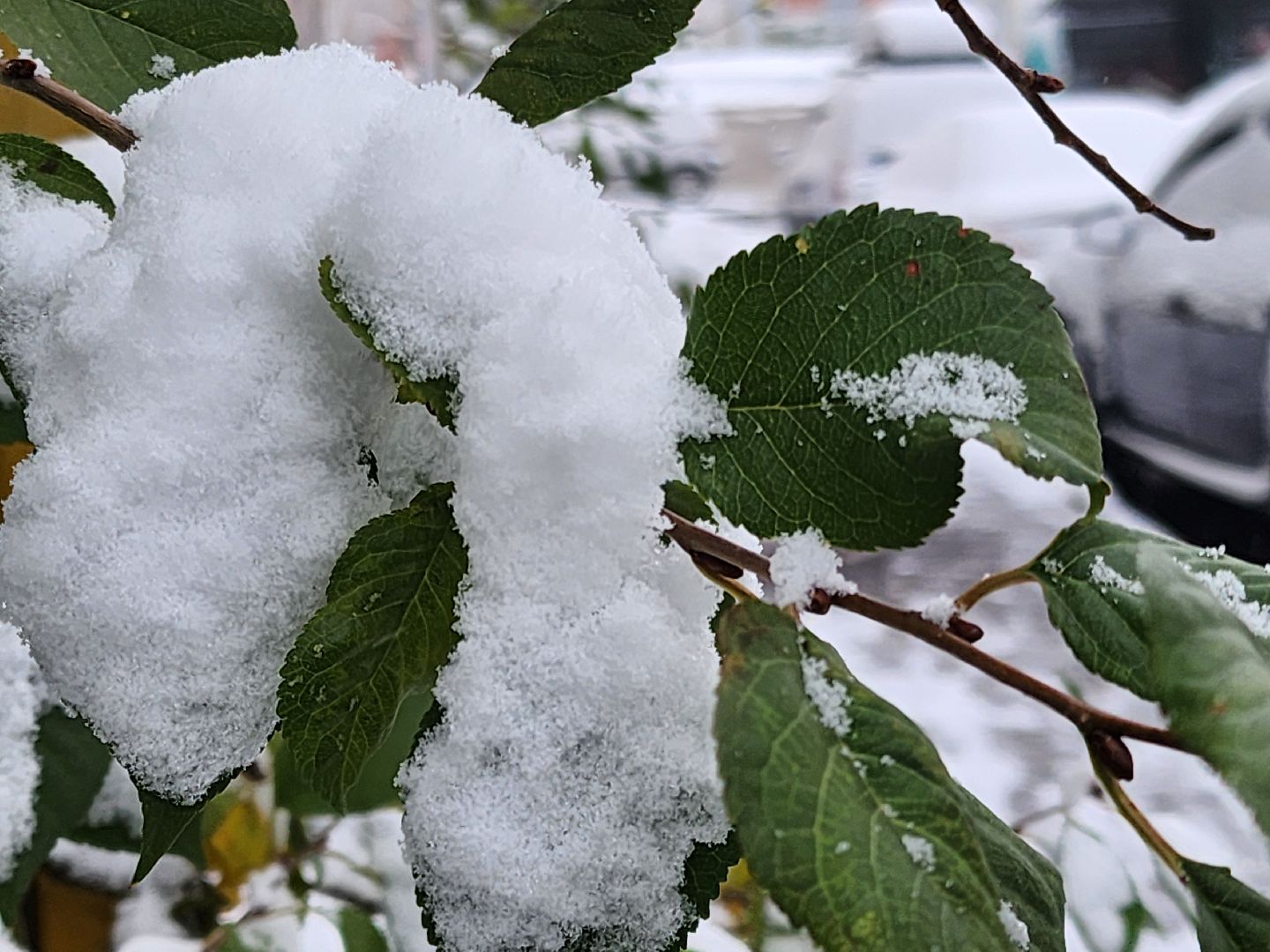 Подольск, уборка снега, коммунальщики, вертикалка,