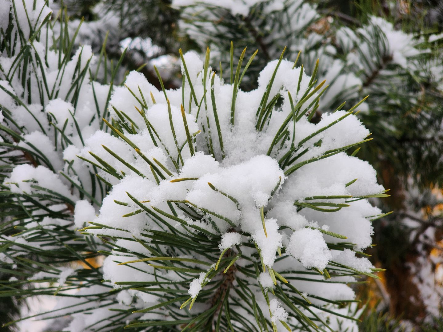 Подольск, уборка снега, коммунальщики, вертикалка,