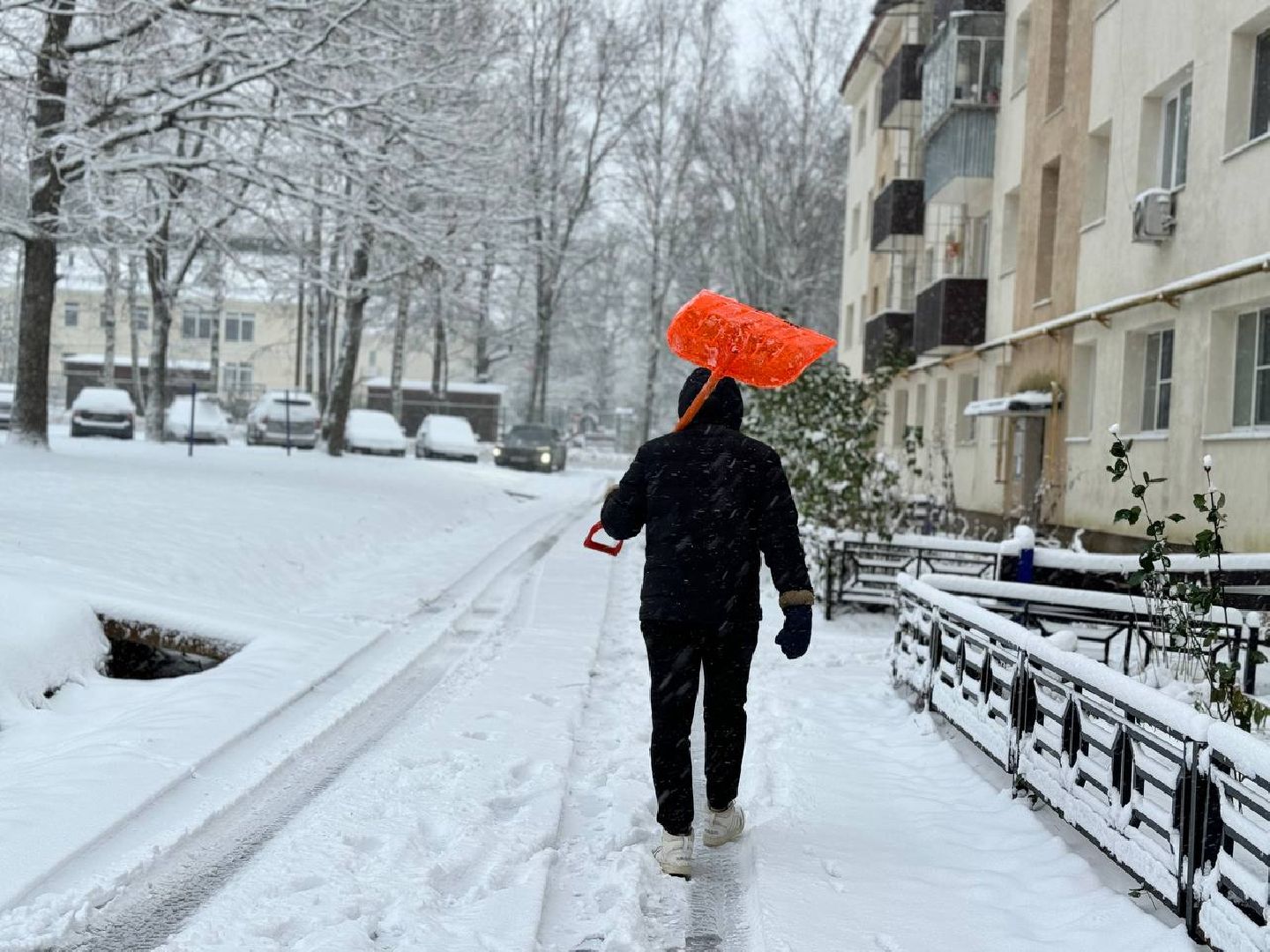первый снег, коммунальщики, городской округ восход, вертикалки,
