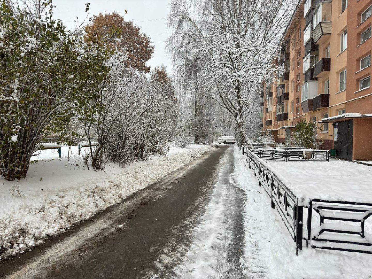 первый снег, коммунальщики, городской округ восход, вертикалки,