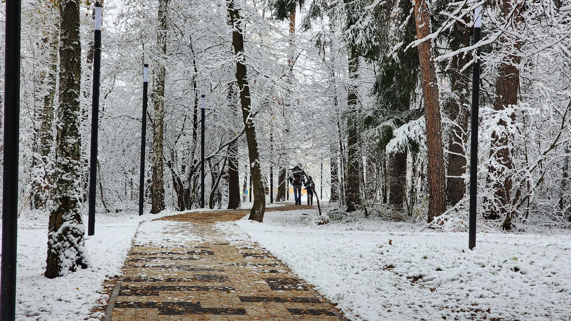 снегоуборка, протвино, комбинат благоустройства, серпухов, благоустройство, вертикалки,