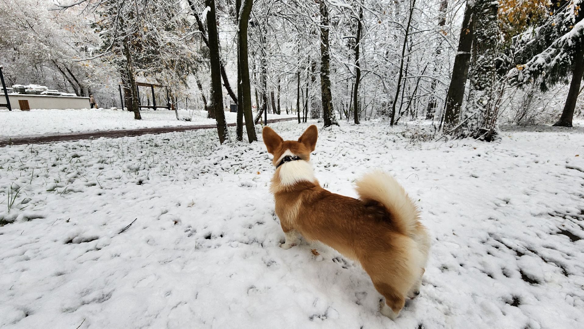 снегоуборка, протвино, комбинат благоустройства, серпухов, благоустройство, вертикалки,