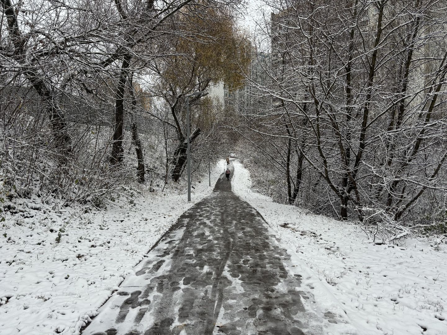 первый снег, снегопад, кучино, коммунальщики, вертикалки,