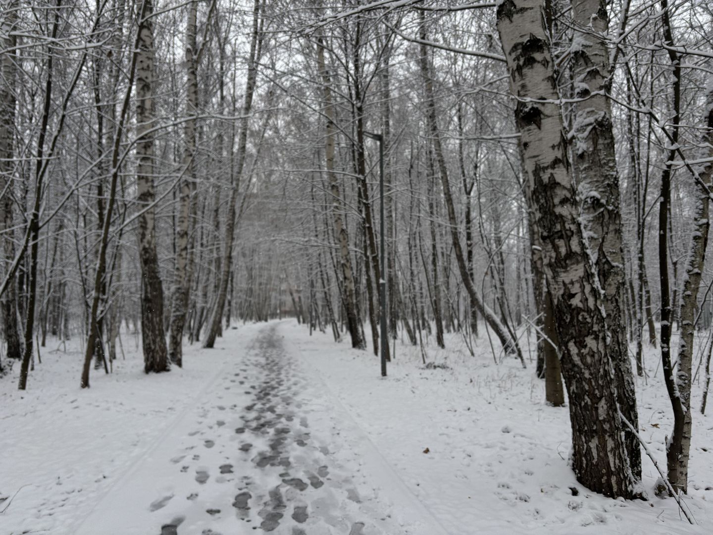 первый снег, снегопад, кучино, коммунальщики, вертикалки,