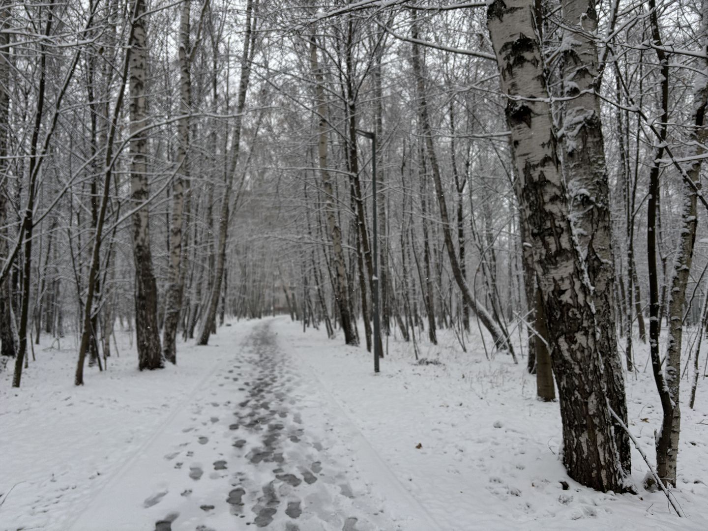 первый снег, снегопад, кучино, коммунальщики, вертикалки,