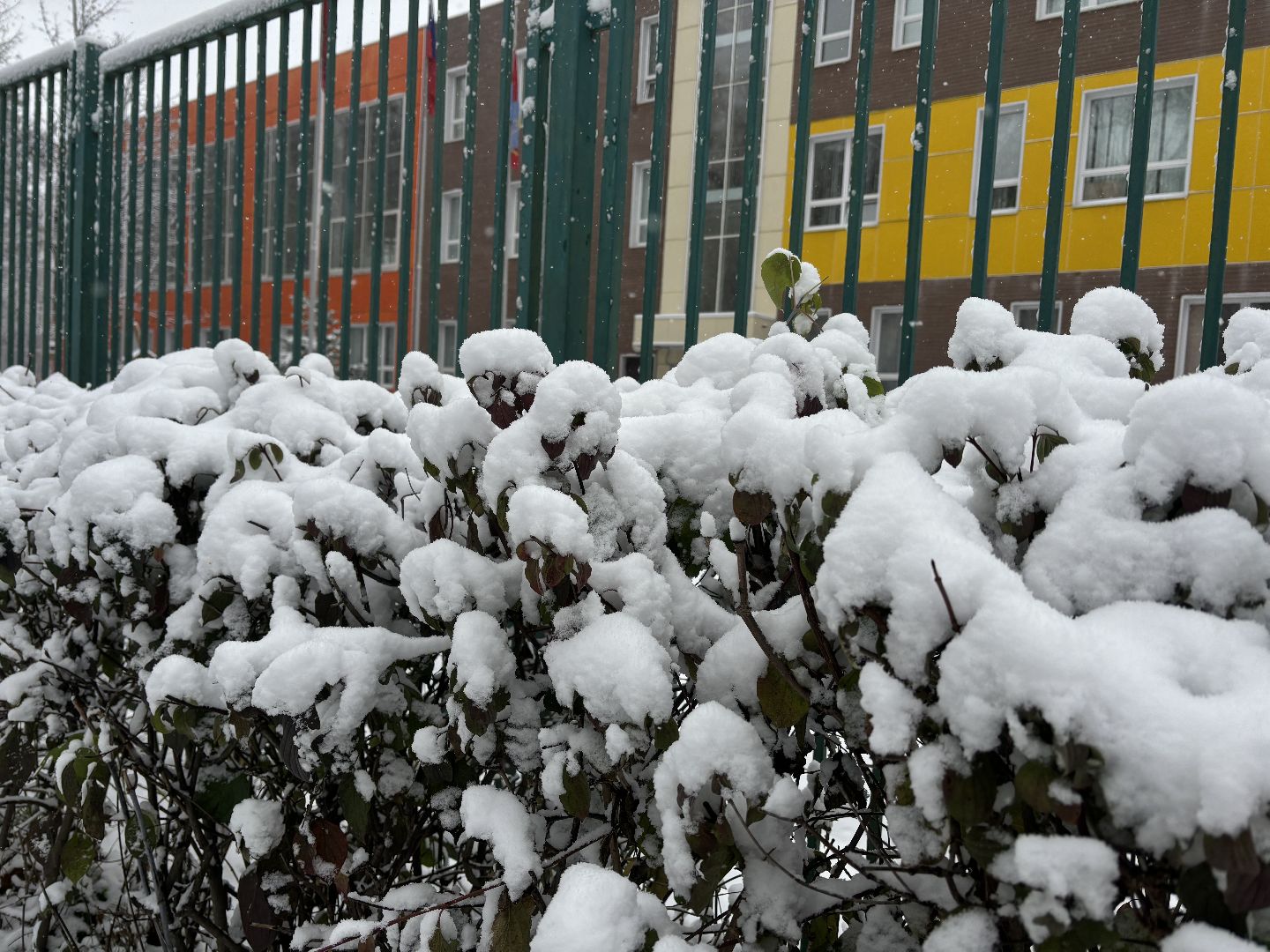 первый снег, снегопад, кучино, коммунальщики, вертикалки,