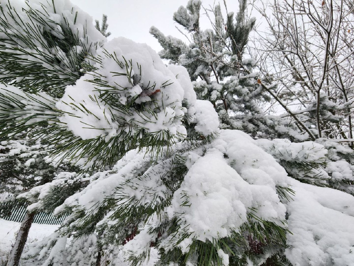 можайск, можайский городской округ, подмосковье, снег, первый снег, коммунальная техника, уборка снега, дворники, последствия непогоды, снегопад, первый снегопад, ЖКХ, вертикалки