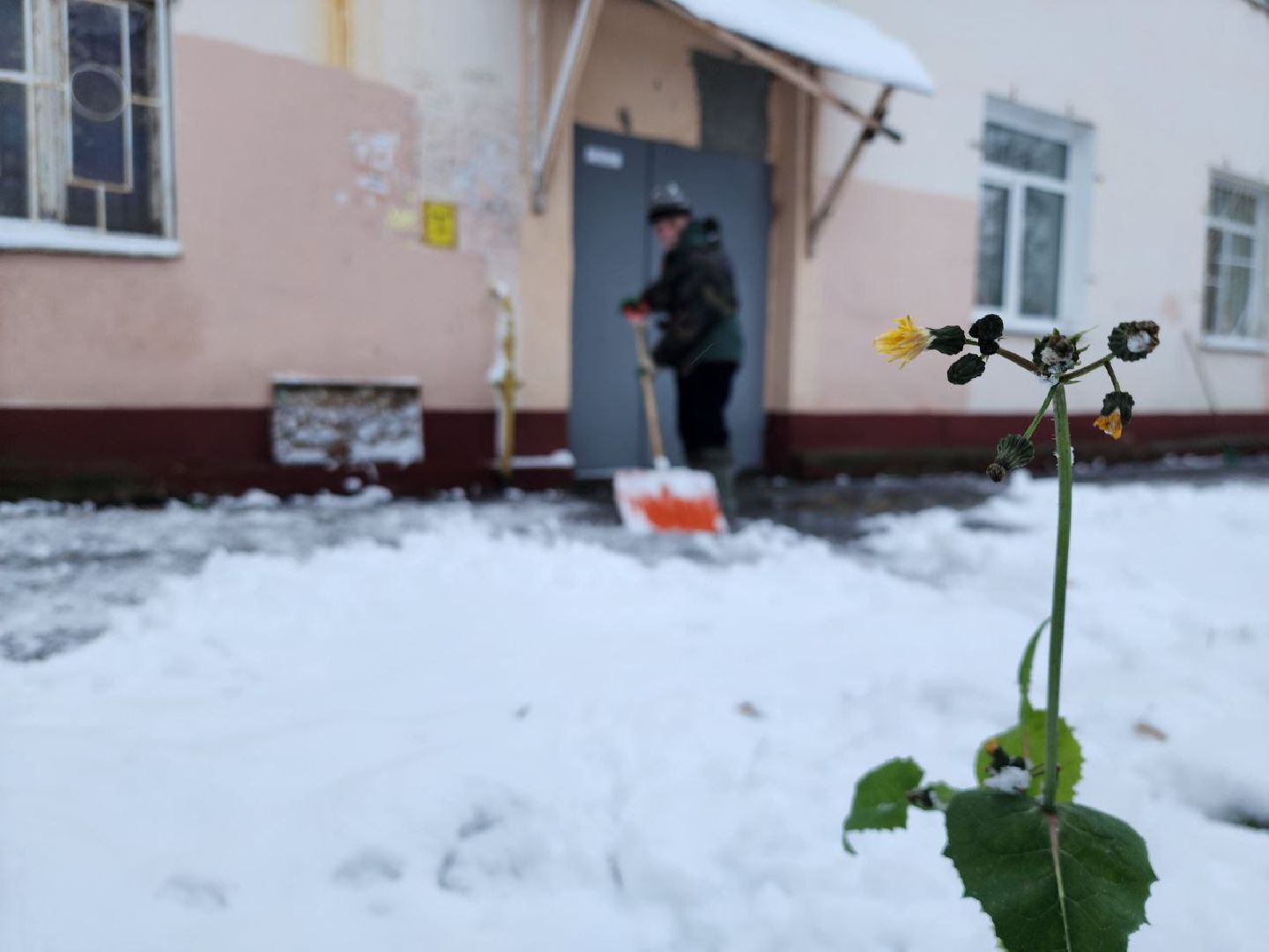 можайск, можайский городской округ, подмосковье, снег, первый снег, коммунальная техника, уборка снега, дворники, последствия непогоды, снегопад, первый снегопад, ЖКХ, вертикалки