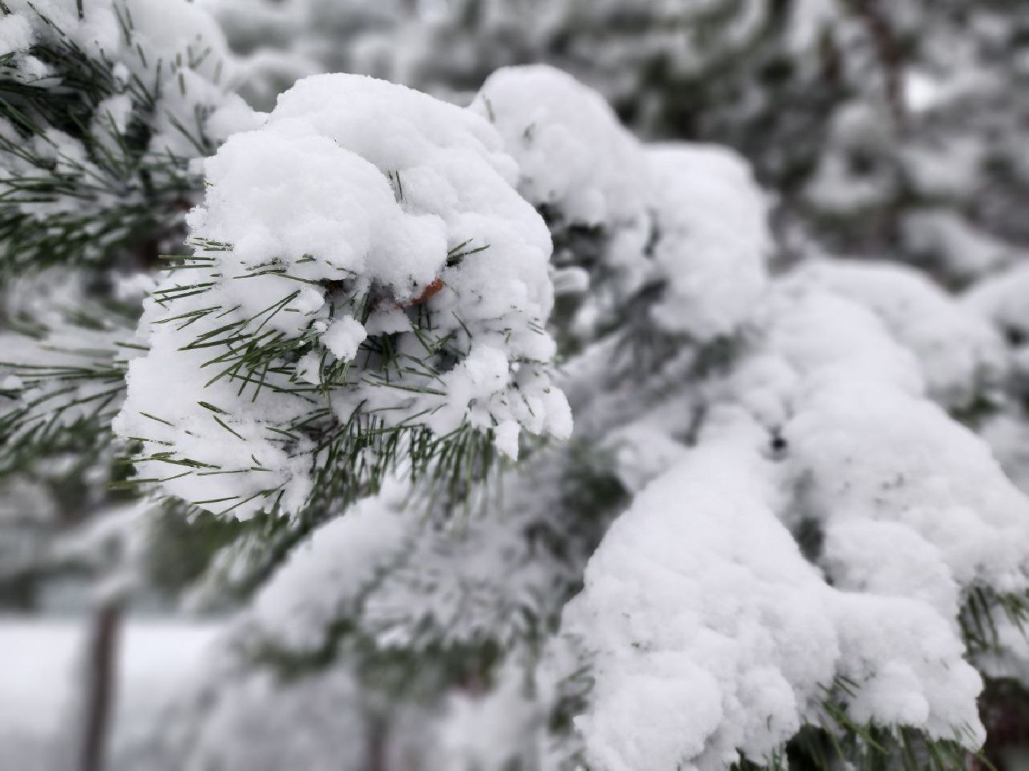 можайск, можайский городской округ, подмосковье, снег, первый снег, коммунальная техника, уборка снега, дворники, последствия непогоды, снегопад, первый снегопад, ЖКХ, вертикалки