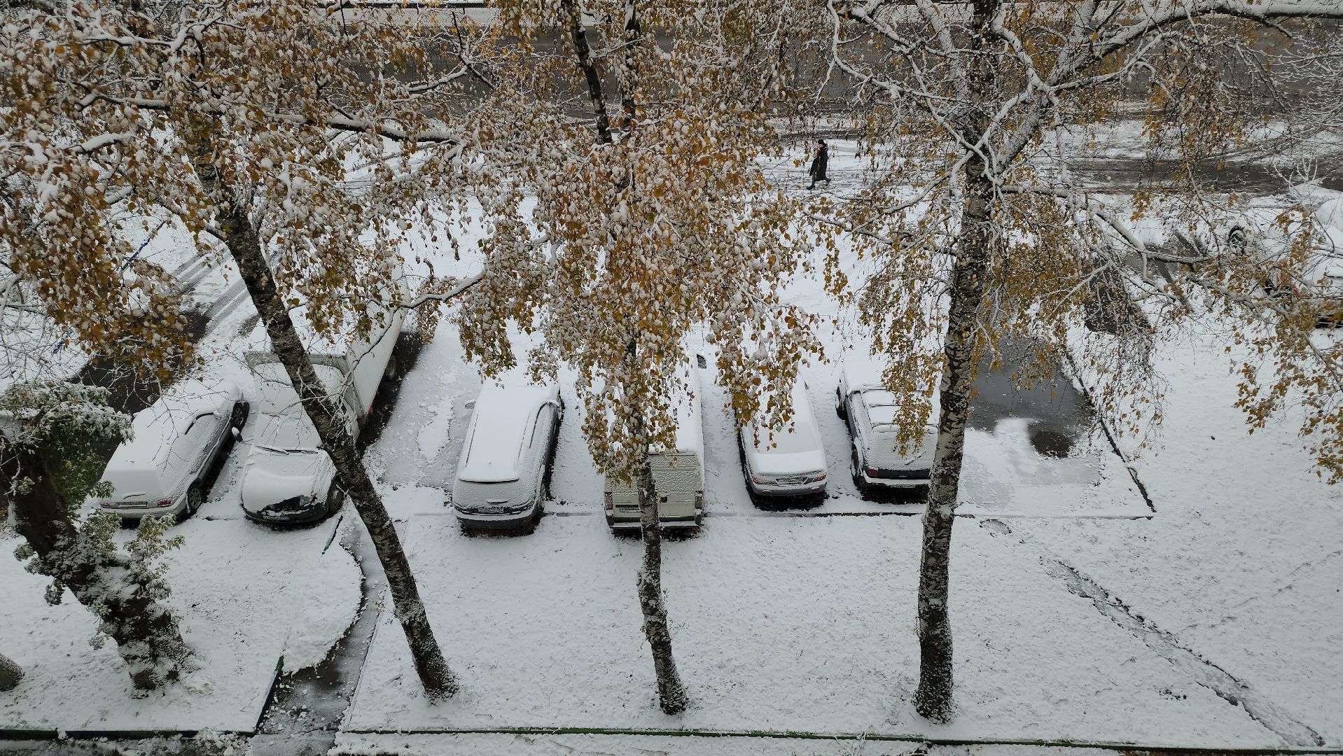 люберцы, уборка снега, дворники, вертикалки,