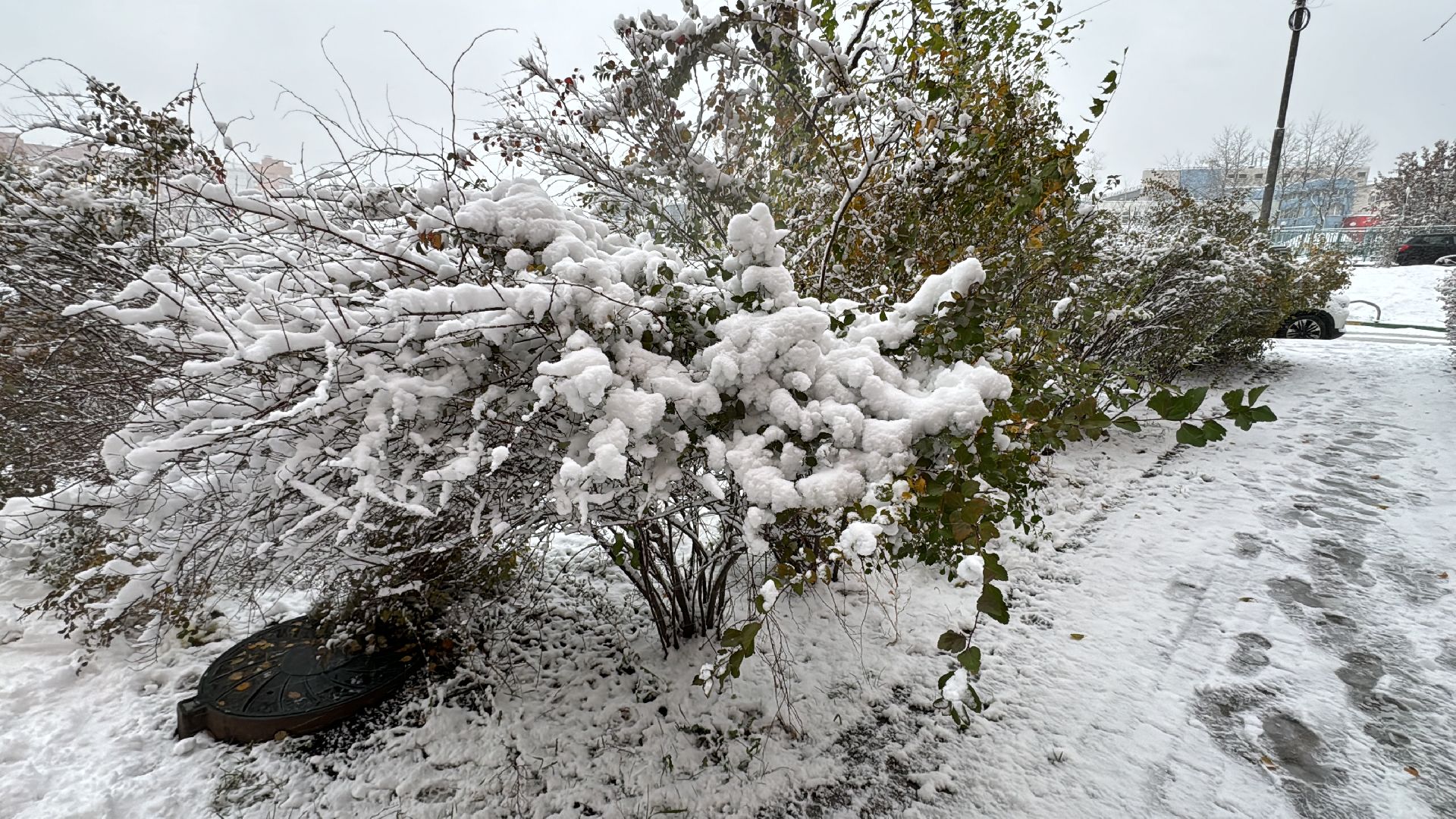 Одинцово, Уборка снега, Первый снегопад,вертикалка, вертикальное видео, коммунальщики,