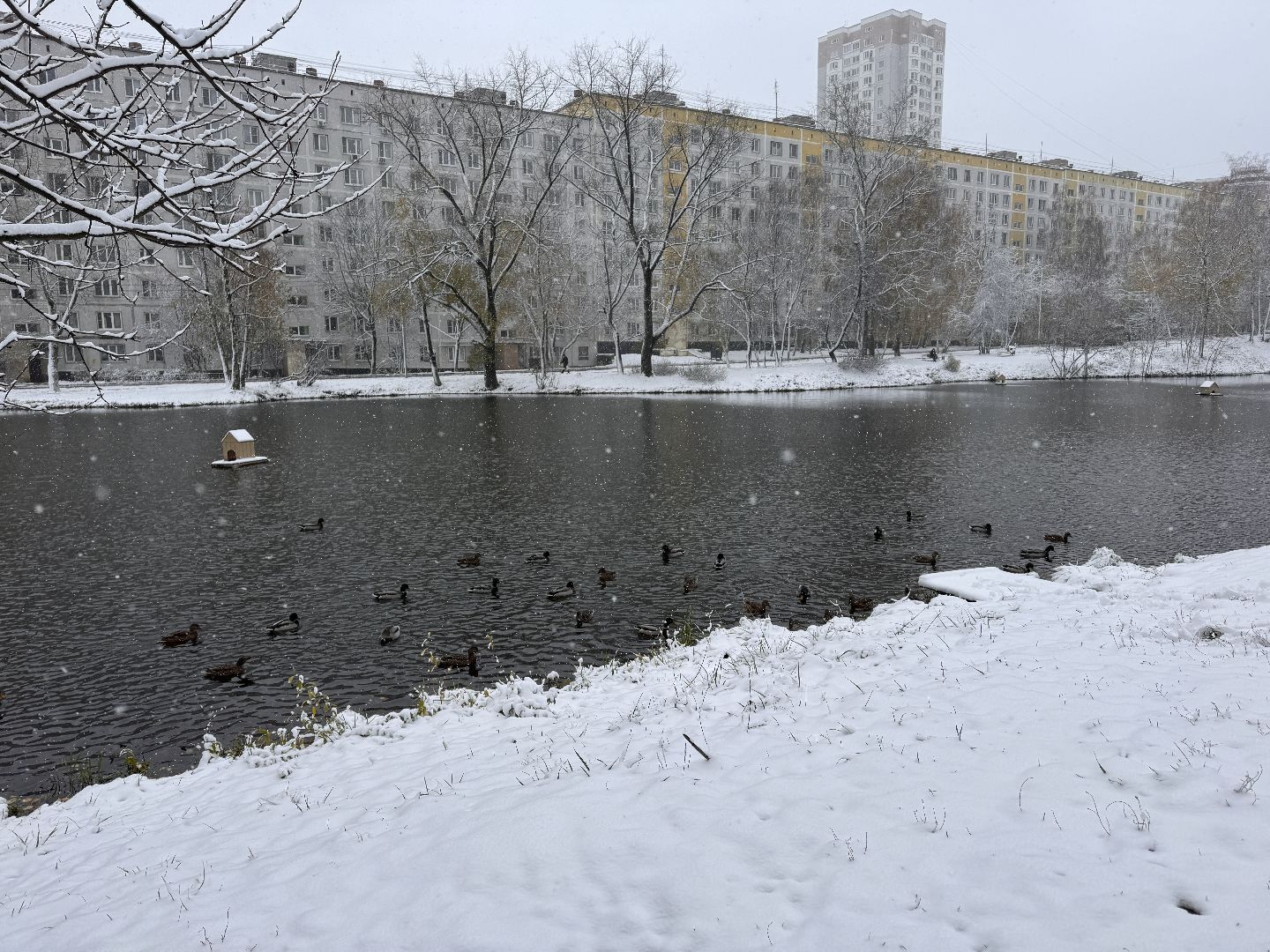 Одинцово, Уборка снега, Первый снегопад,вертикалка, вертикальное видео, коммунальщики,